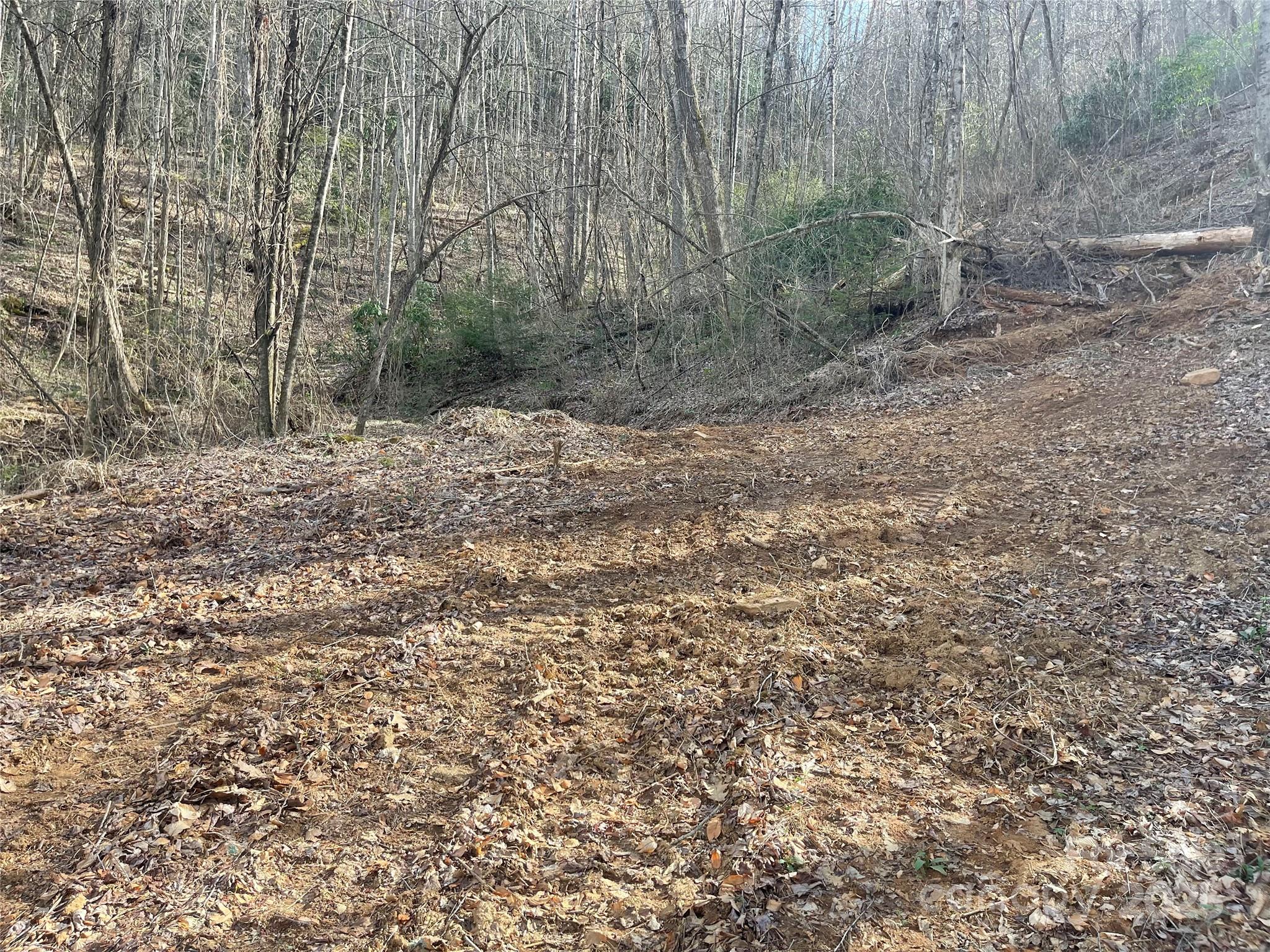 4 Copperhead Cove Property Photo 10