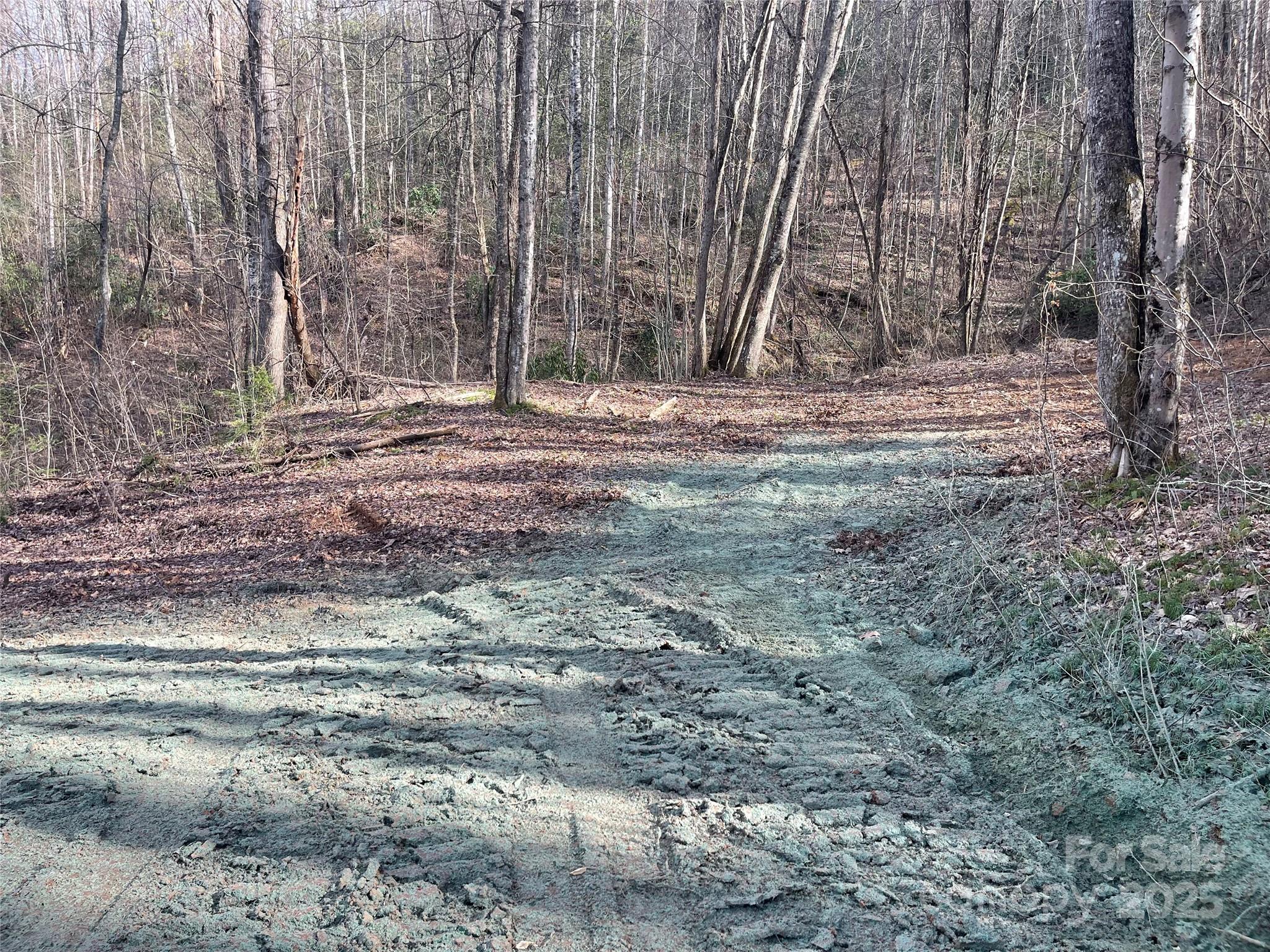 4 Copperhead Cove Property Photo 12