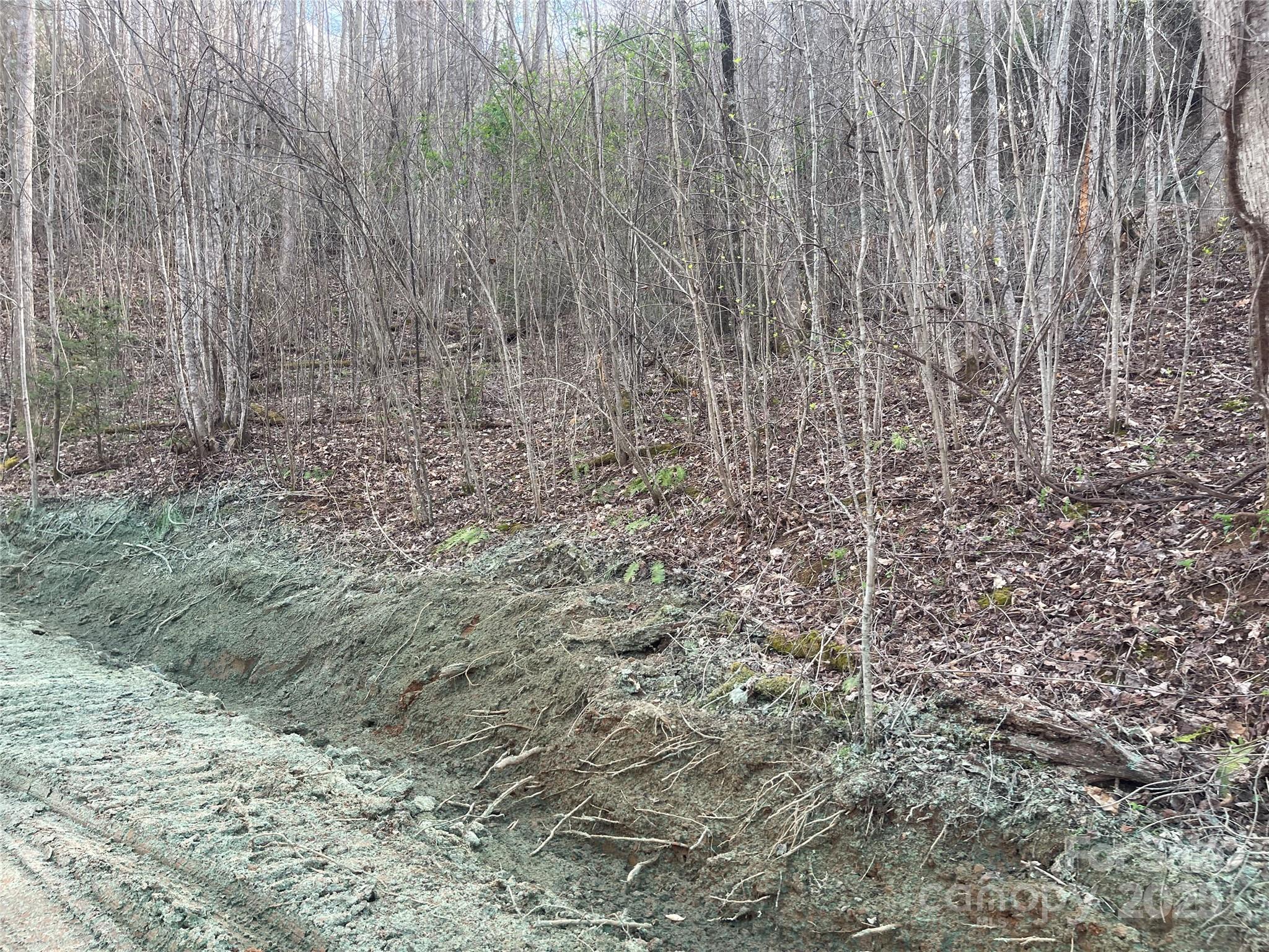 4 Copperhead Cove Property Photo 13
