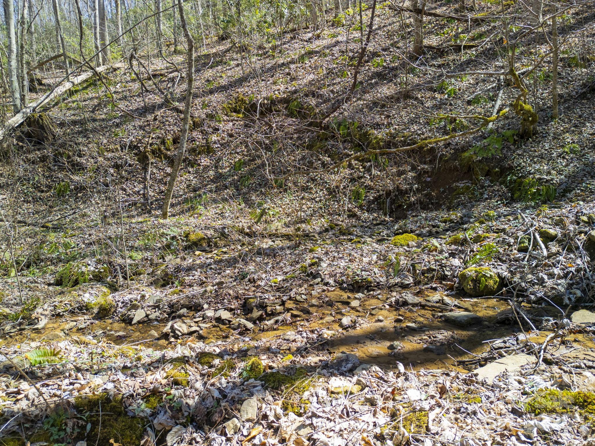 4 Copperhead Cove Property Photo 14