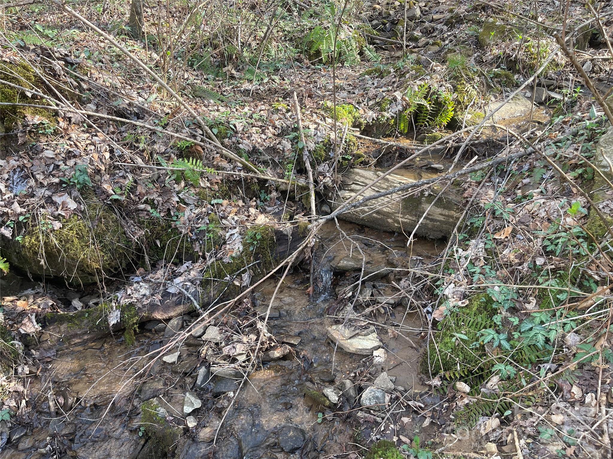 4 Copperhead Cove Property Photo 16