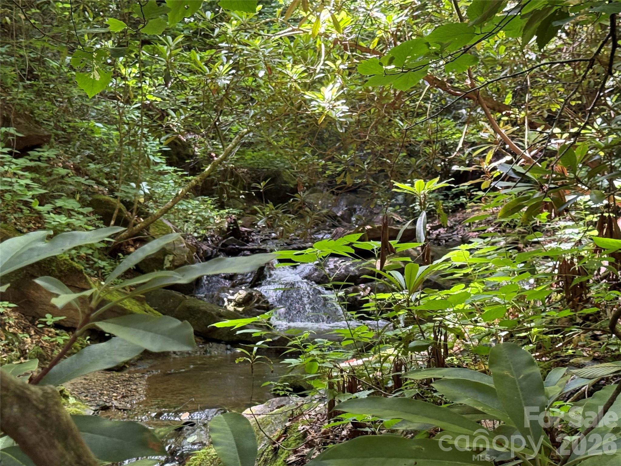 5 Copperhead Cove Property Photo 1