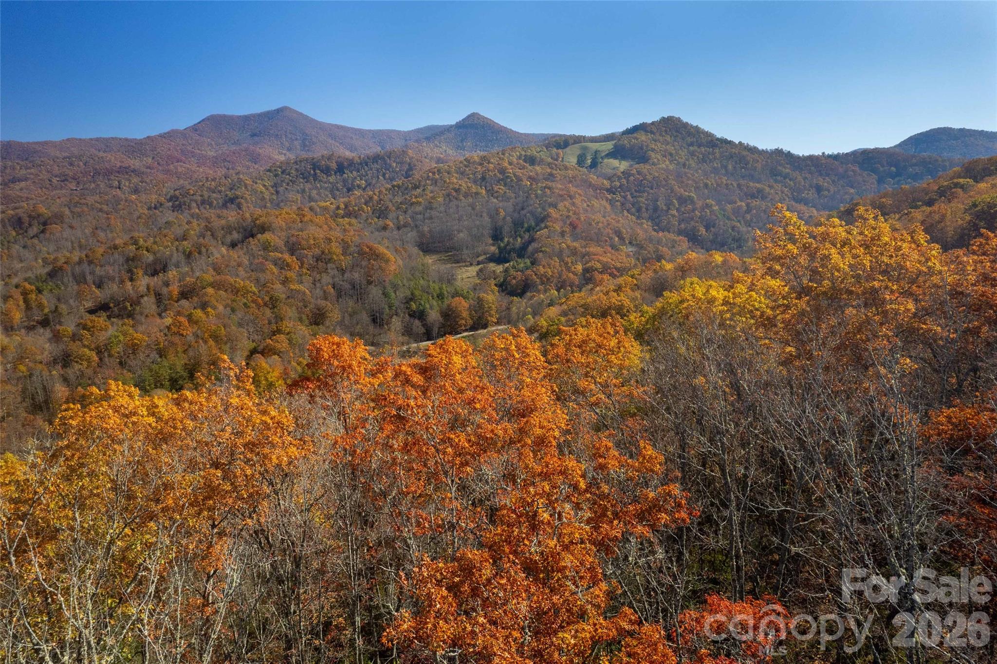 5 Copperhead Cove Property Photo 2