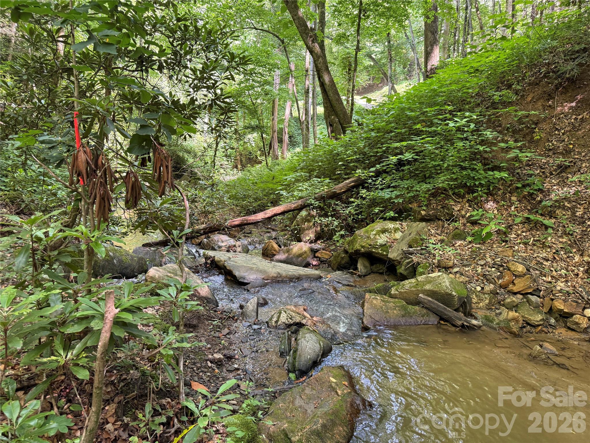 5 Copperhead Cove Property Photo 3