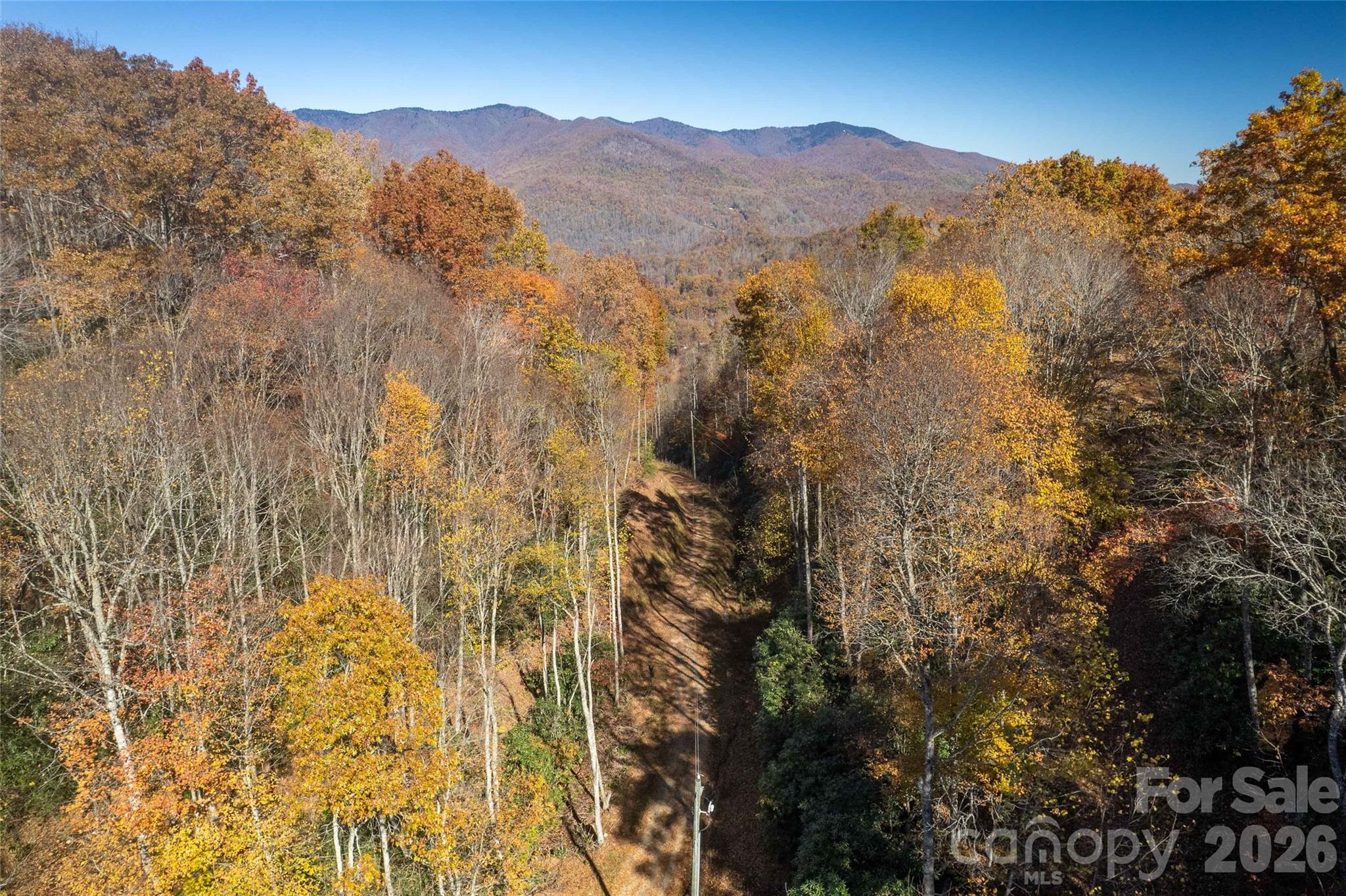 5 Copperhead Cove Property Photo 4