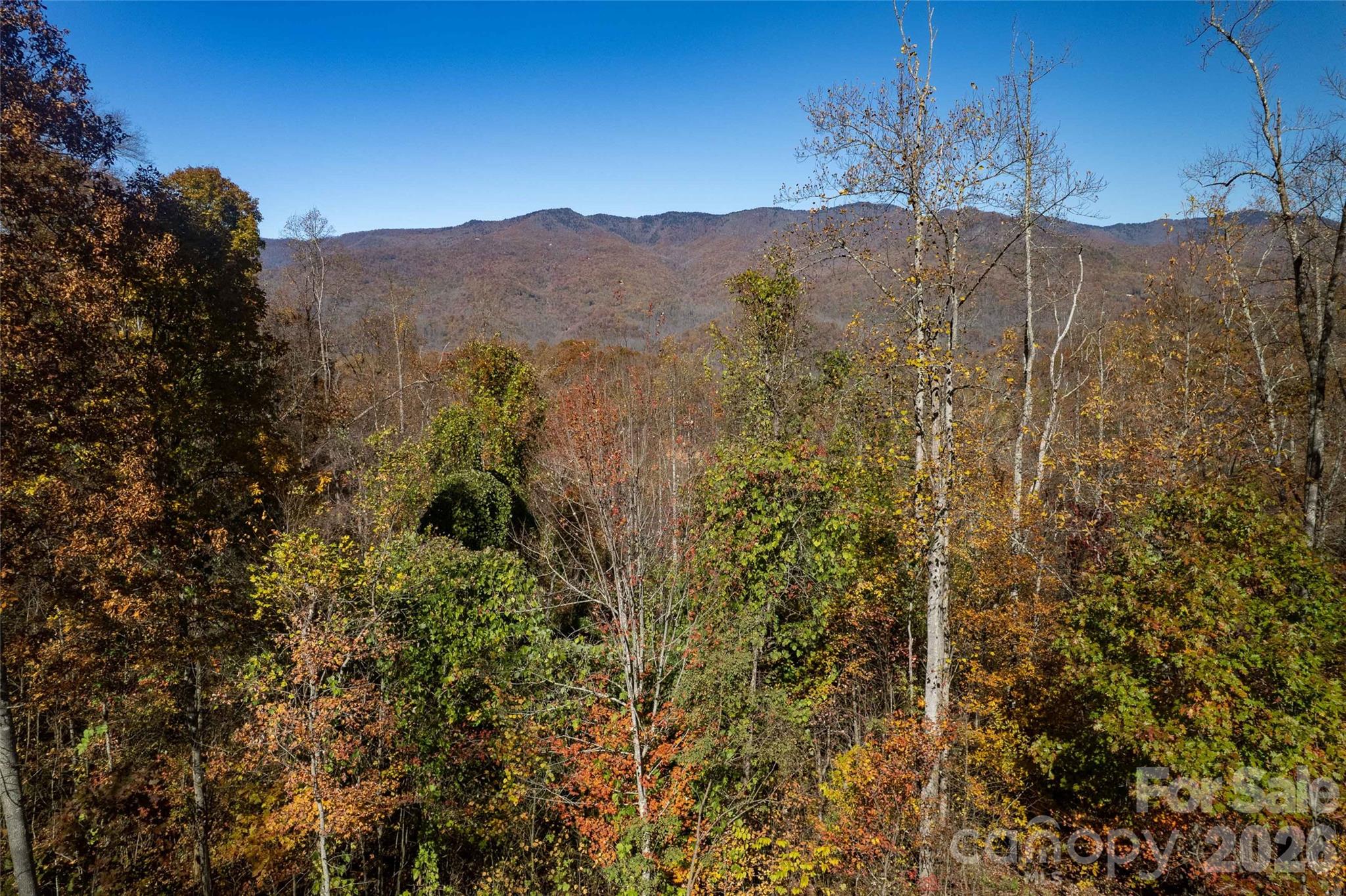 5 Copperhead Cove Property Photo 5
