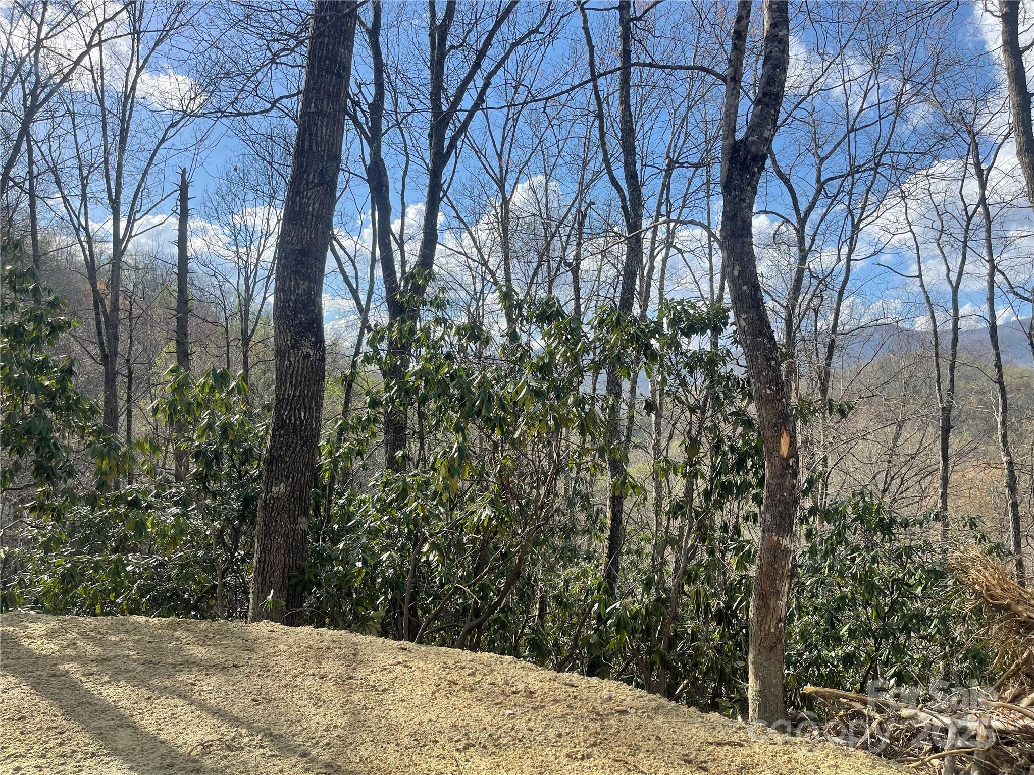 5 Copperhead Cove Property Photo 8