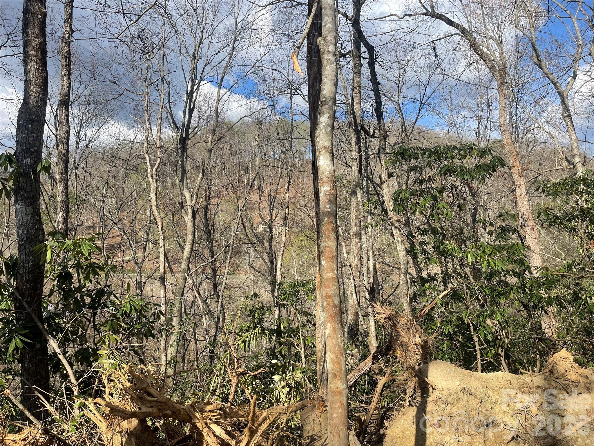 5 Copperhead Cove Property Photo 9