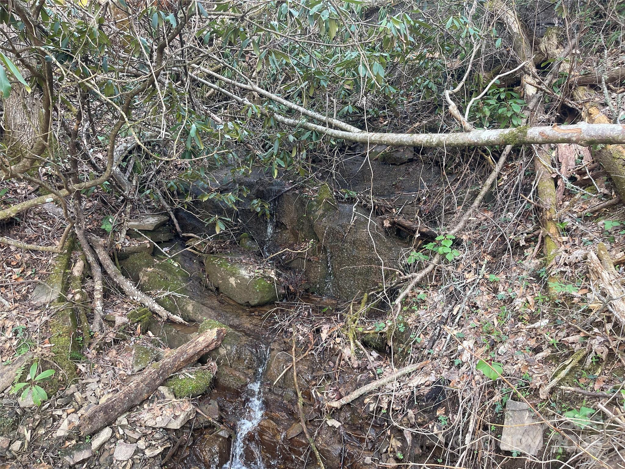 5 Copperhead Cove Property Photo 10