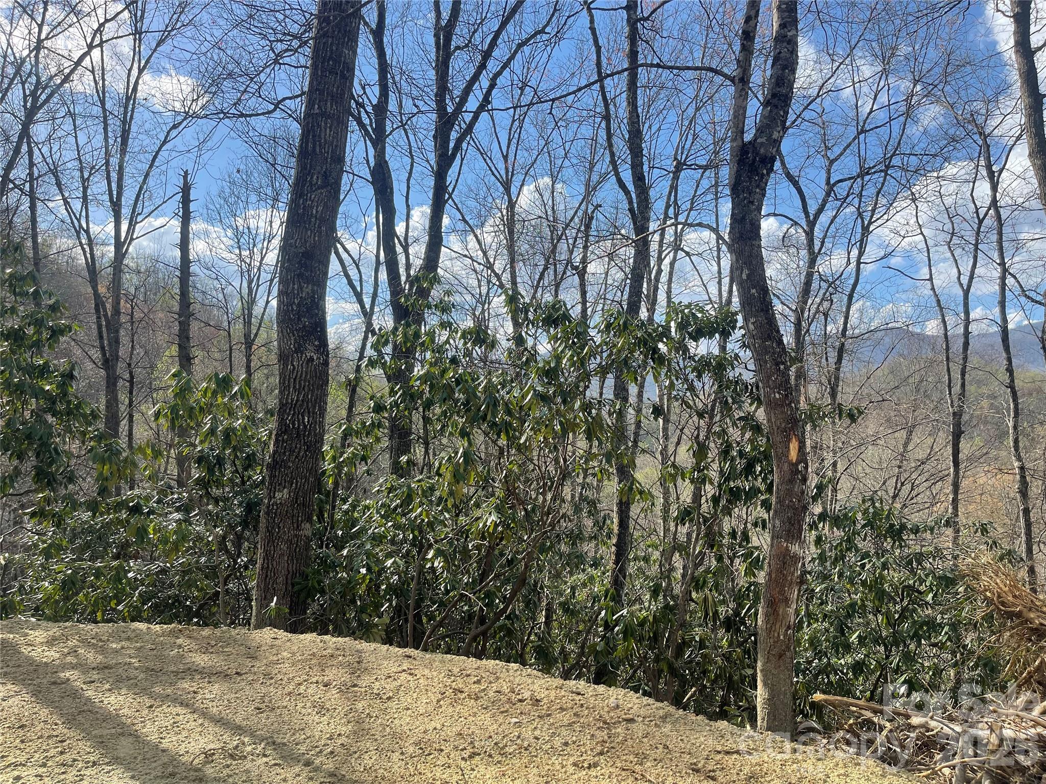 5 Copperhead Cove Property Photo 11