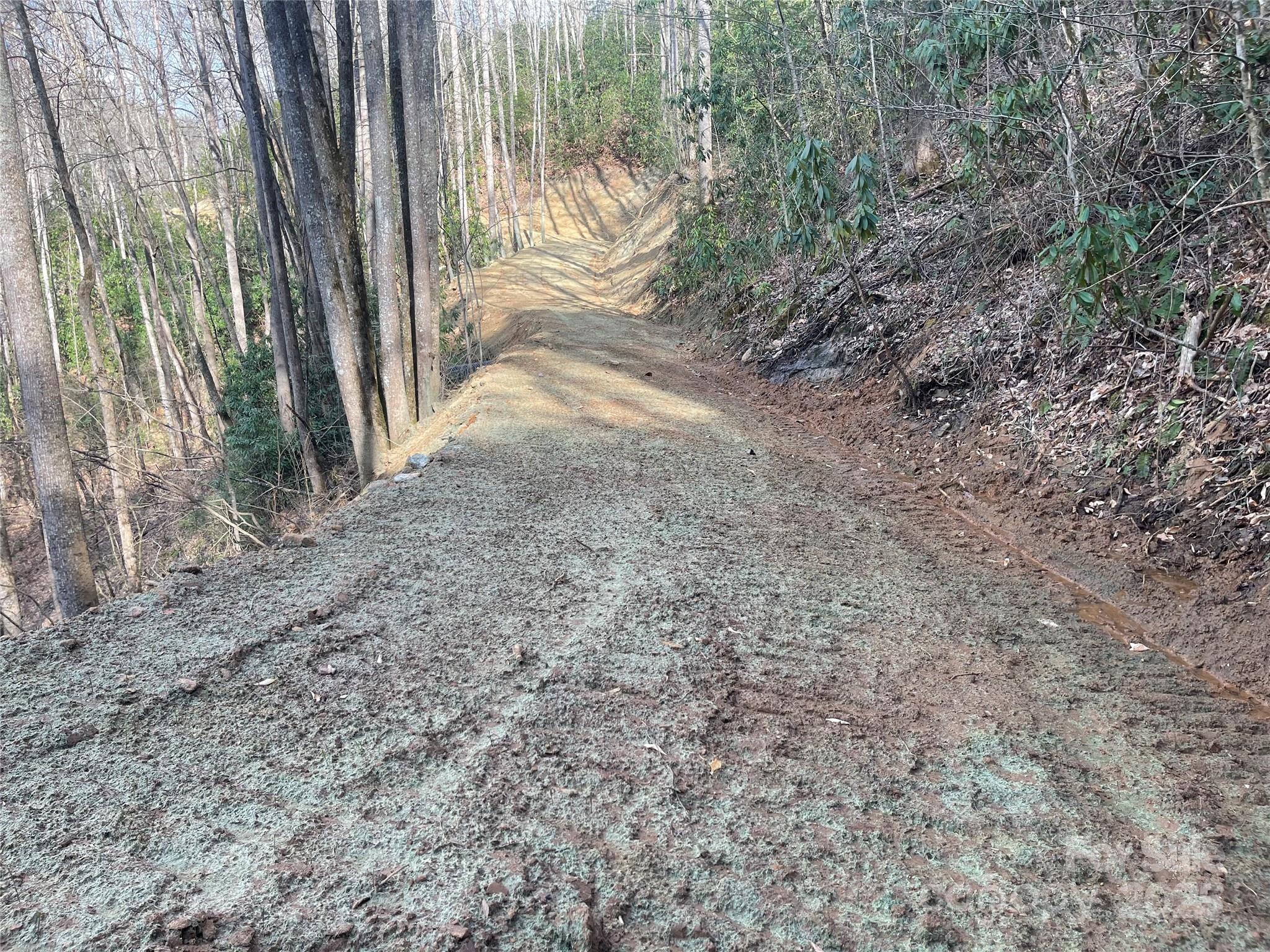 5 Copperhead Cove Property Photo 13