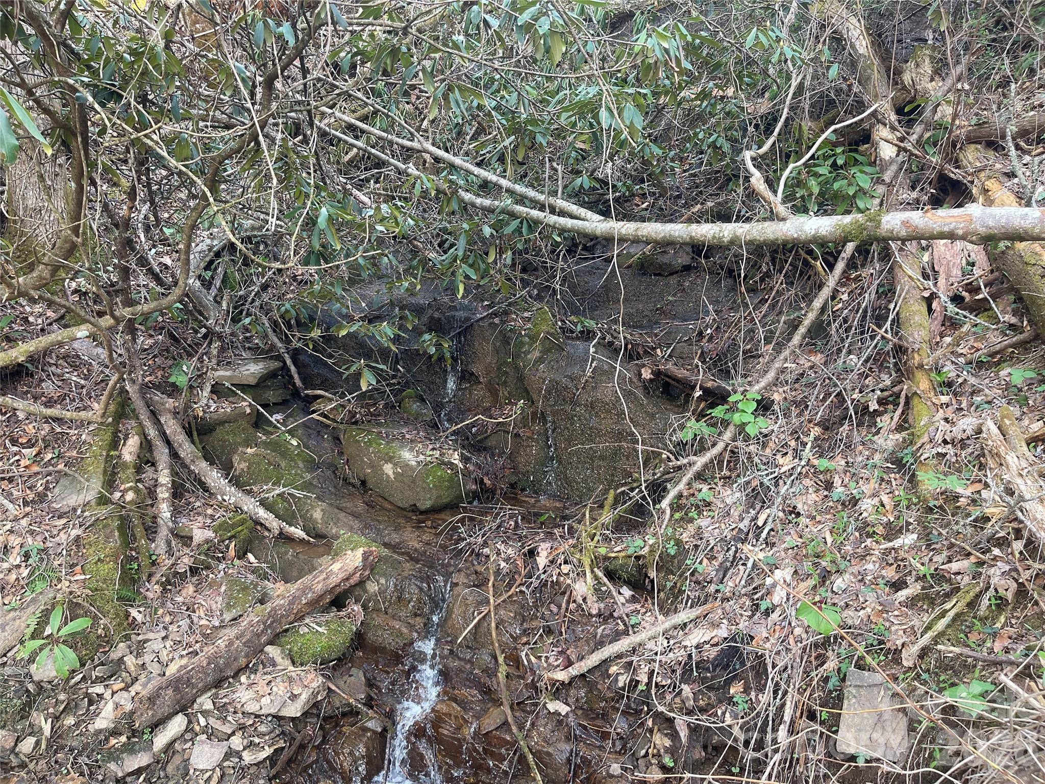 5 Copperhead Cove Property Photo 13
