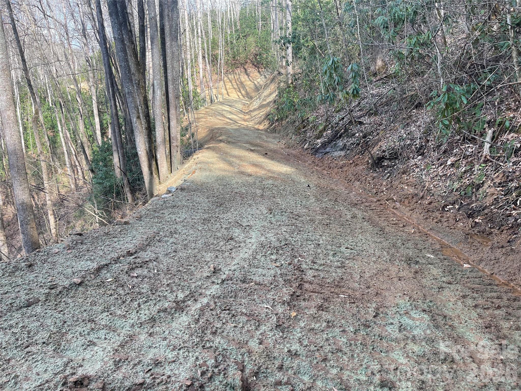 5 Copperhead Cove Property Photo 16