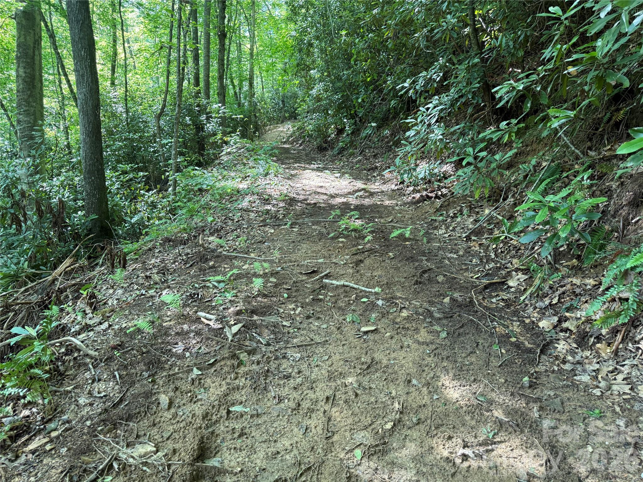 5 Copperhead Cove Property Photo 27
