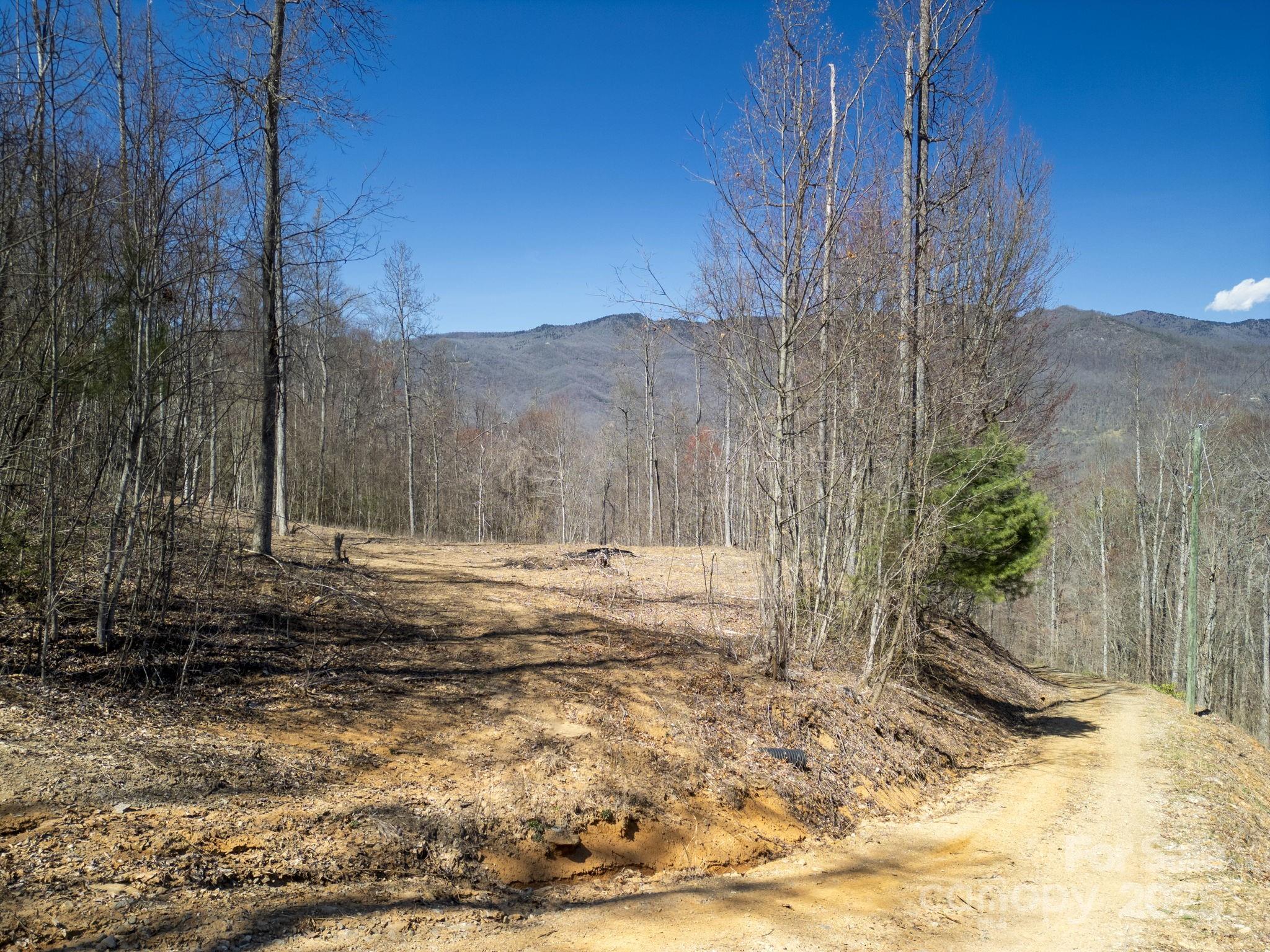 6 Copperhead Cove Property Photo 3