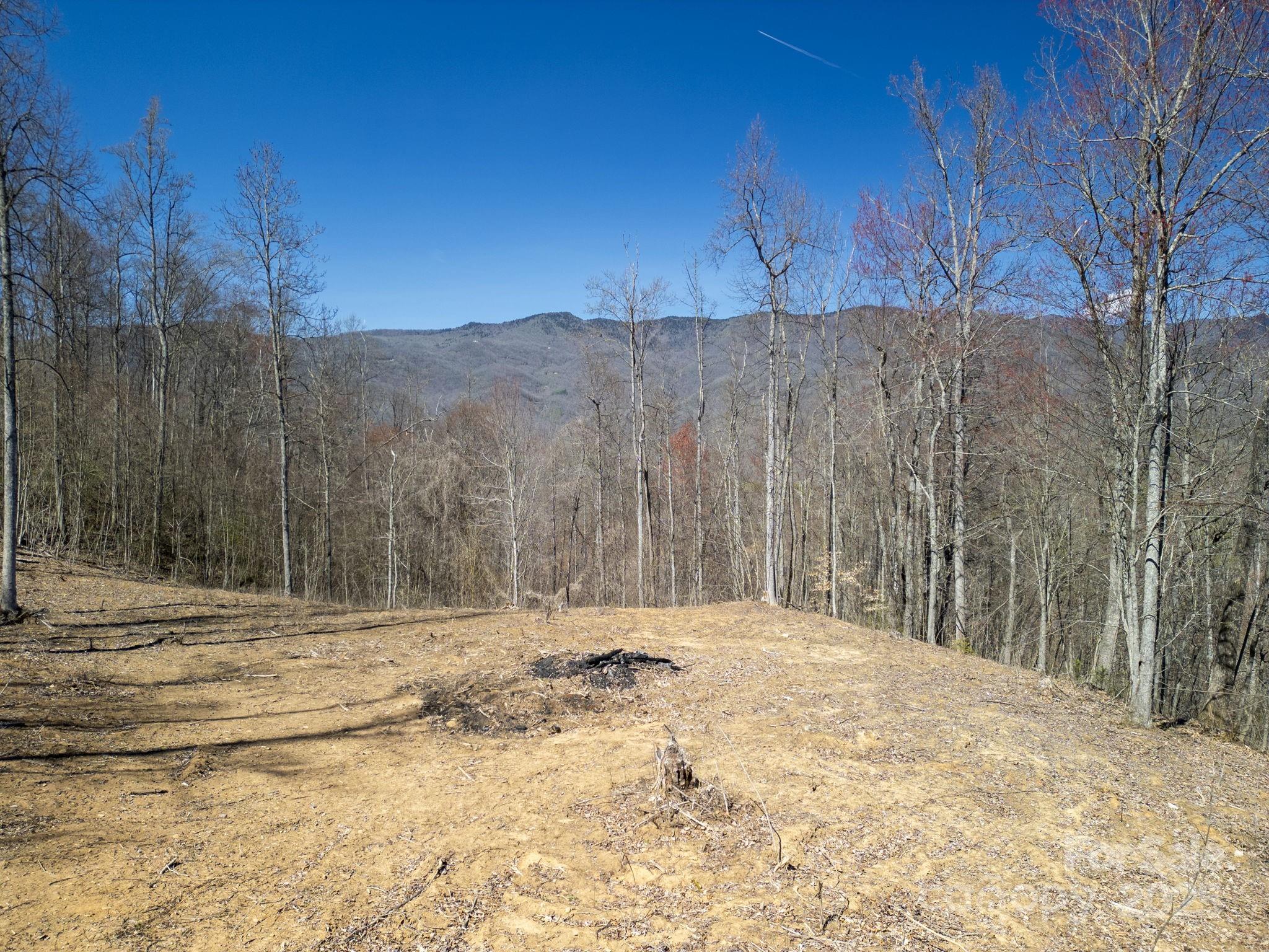 6 Copperhead Cove Property Photo 5