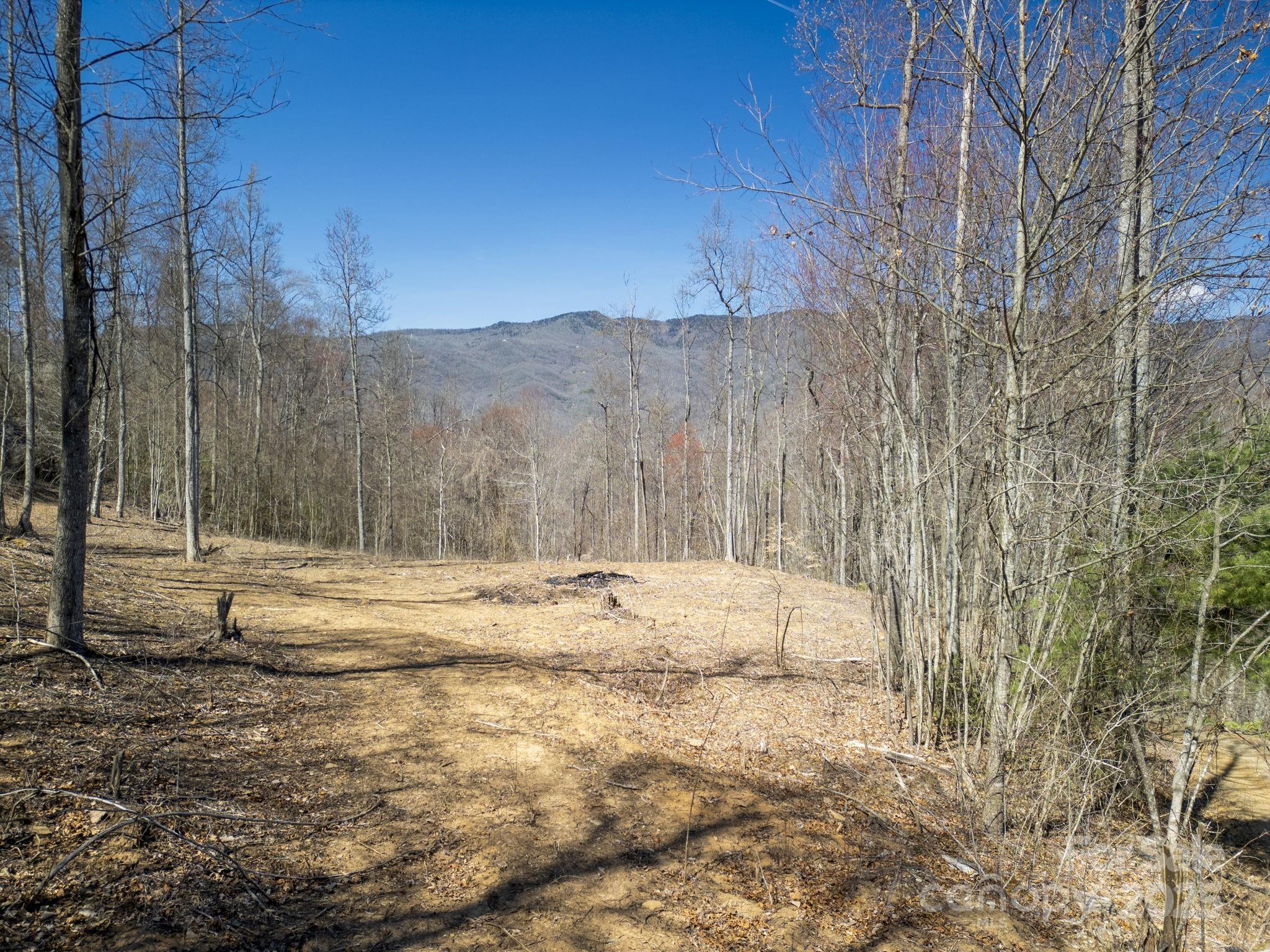 6 Copperhead Cove Property Photo 6
