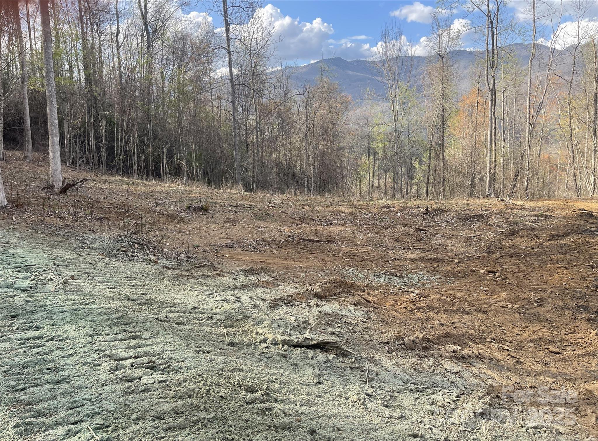 6 Copperhead Cove Property Photo 7