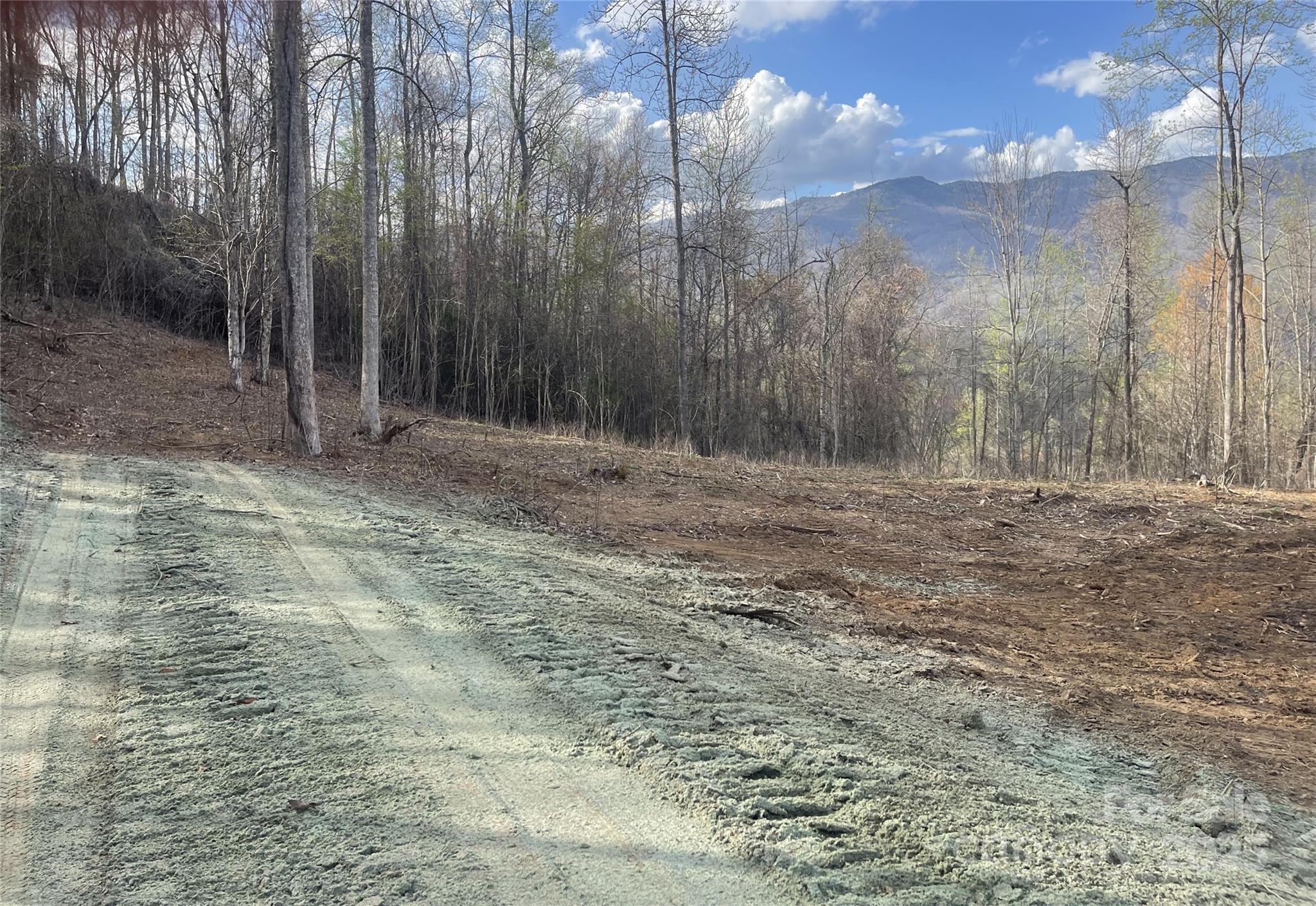 6 Copperhead Cove Property Photo 12