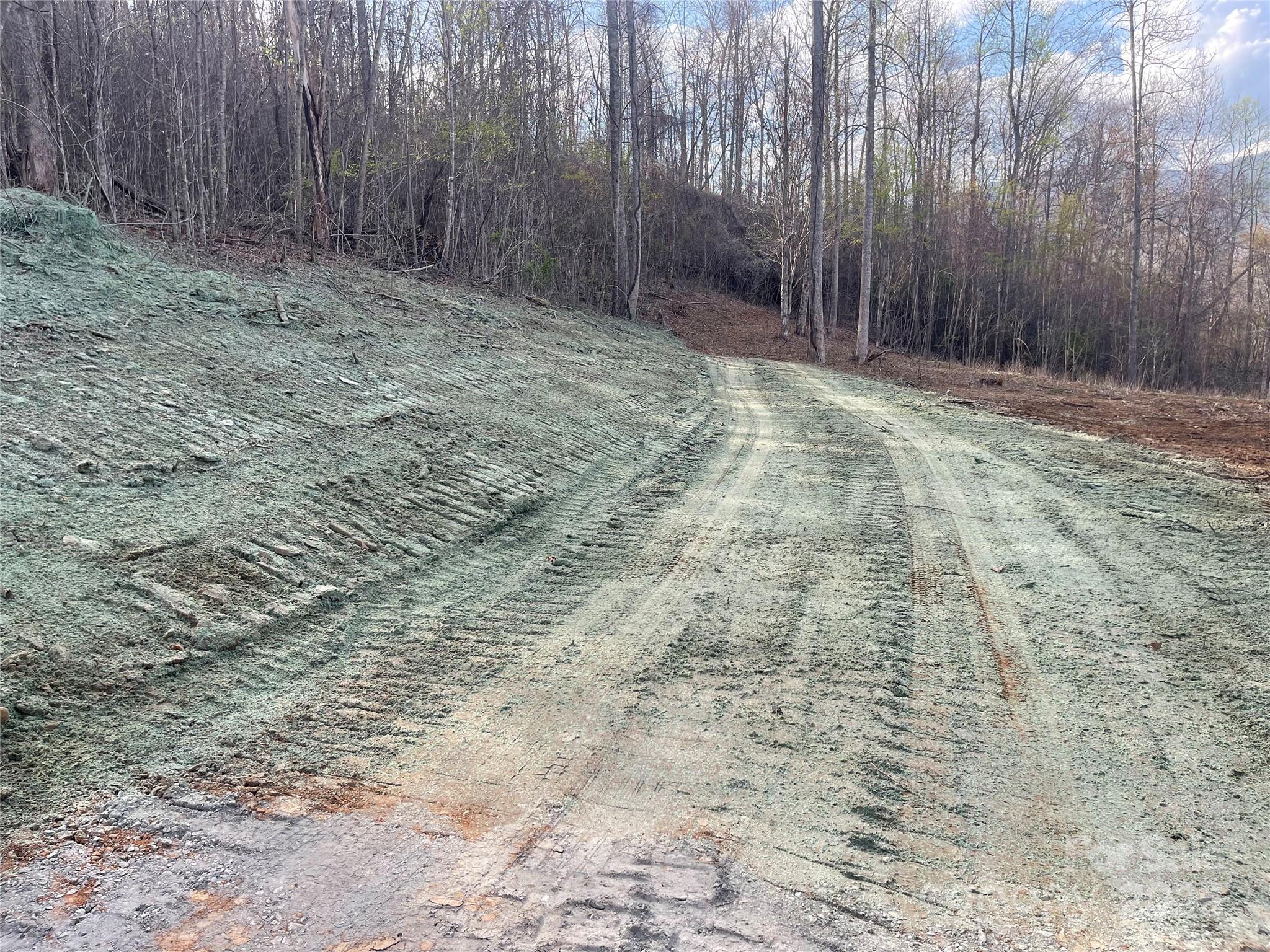 6 Copperhead Cove Property Photo 13