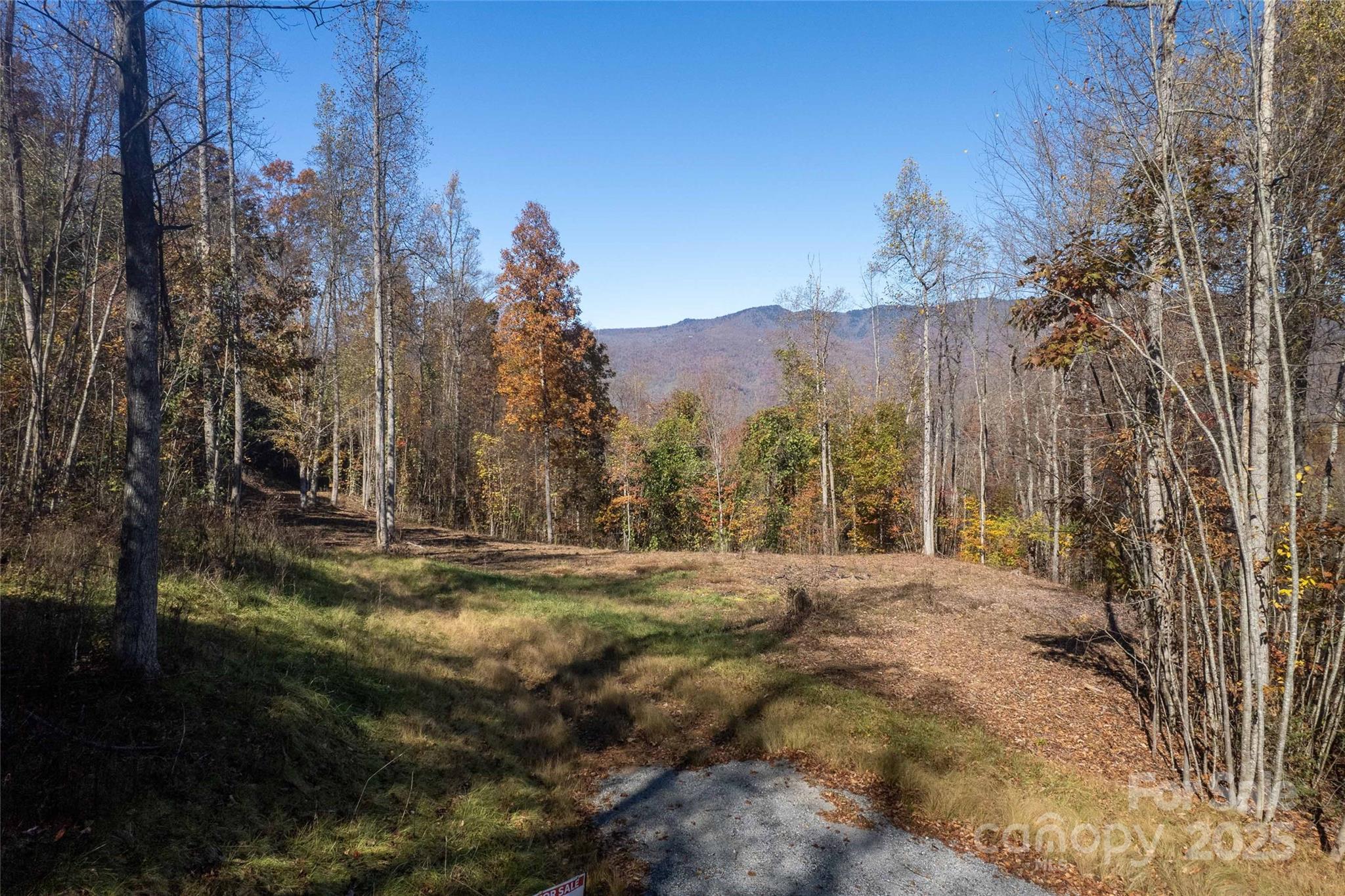 6 Copperhead Cove Property Photo 22