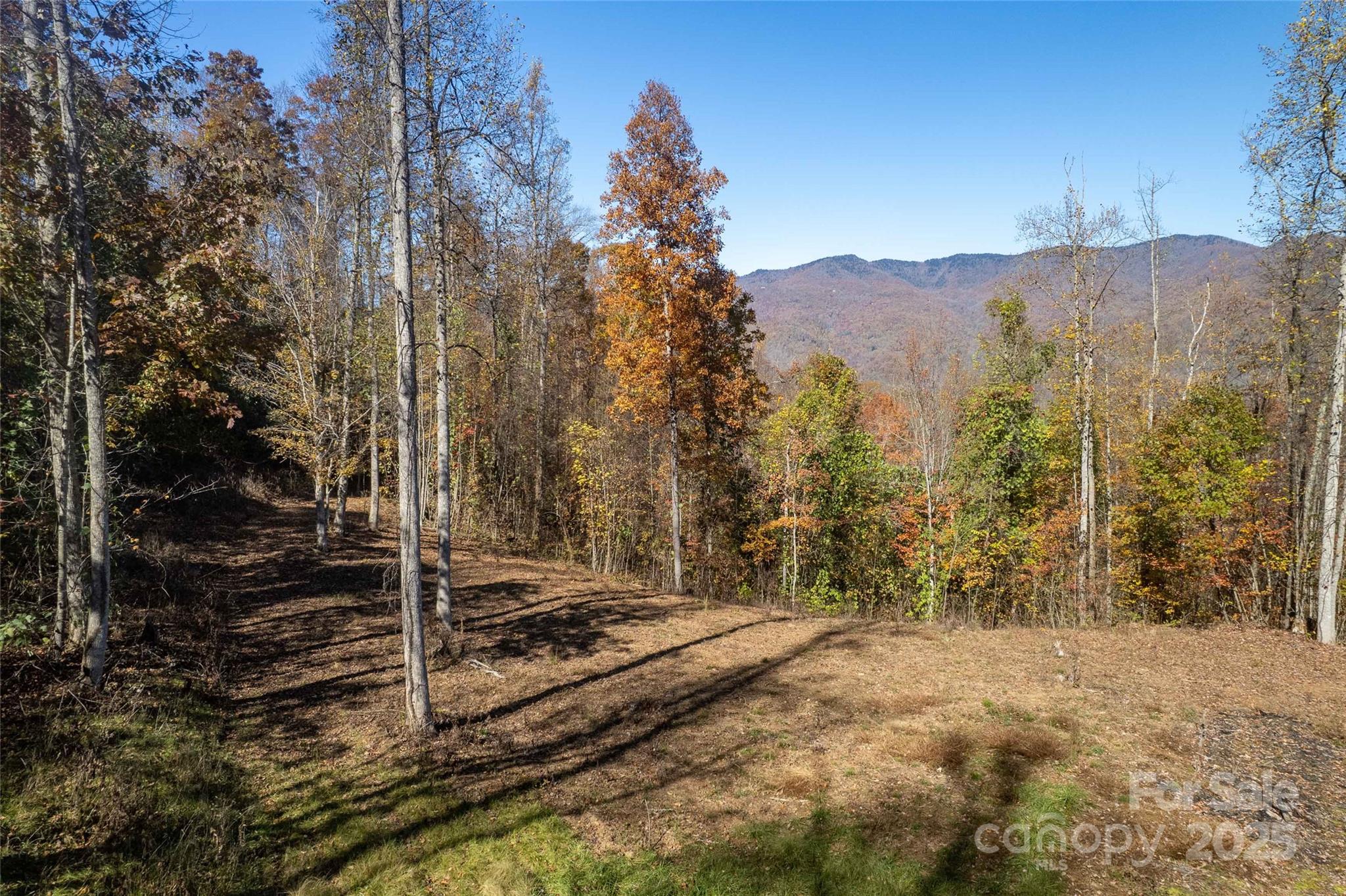 6 Copperhead Cove Property Photo 24