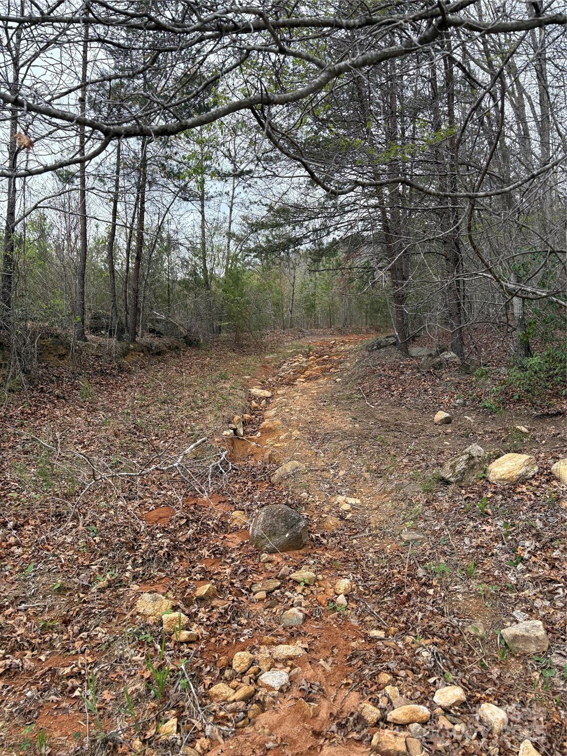 0 Rose Hollow Drive Tract 1 Property Photo 4