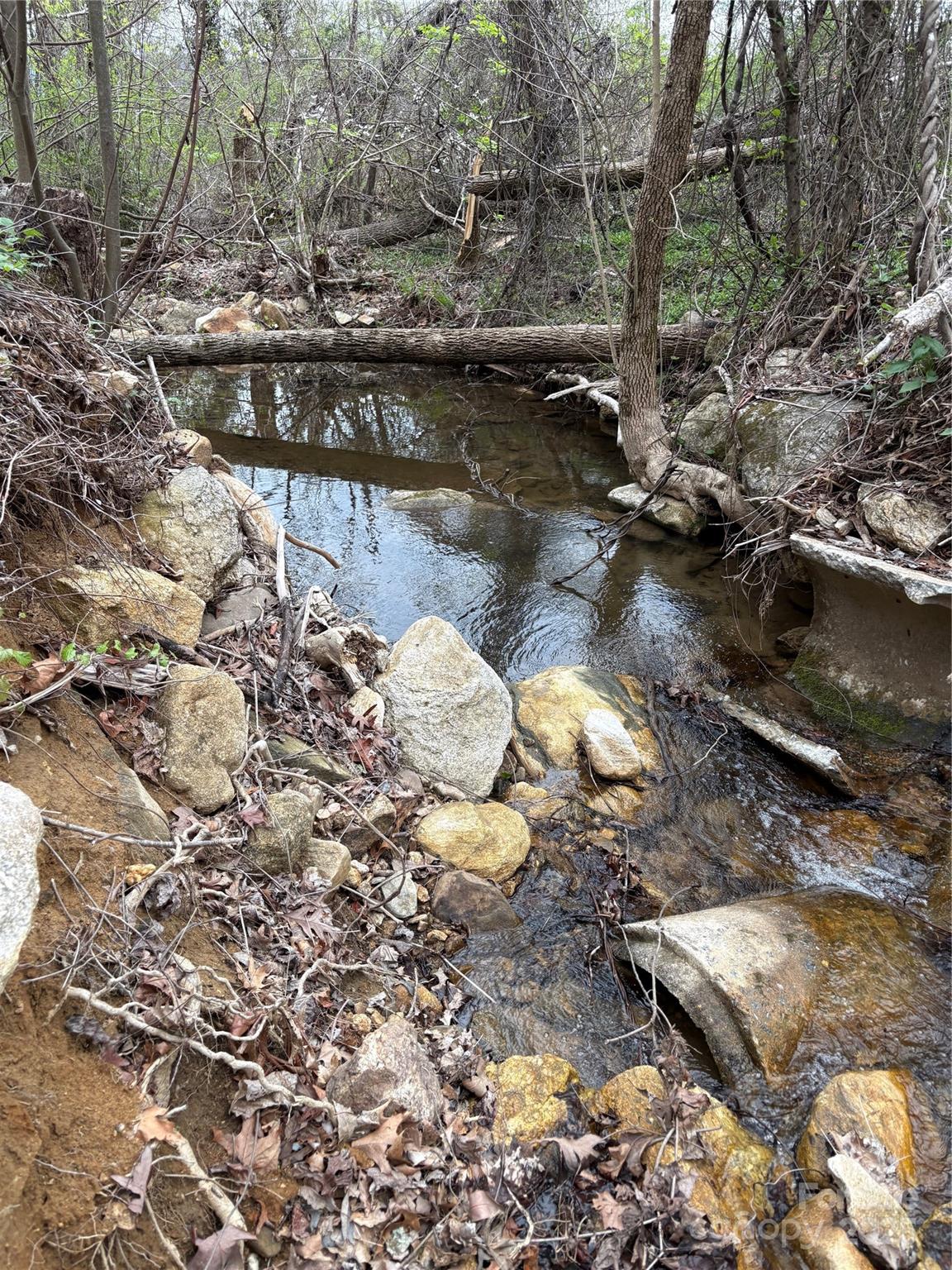 0 Rose Hollow Drive Tract 1 Property Photo 8