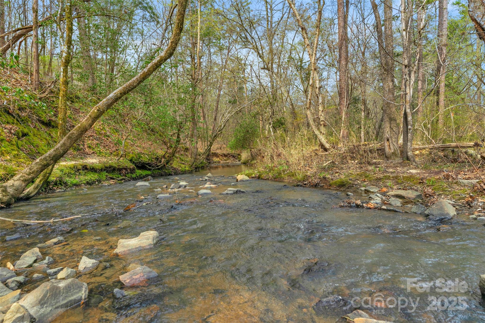 0000 Green Road 3 Property Photo 2