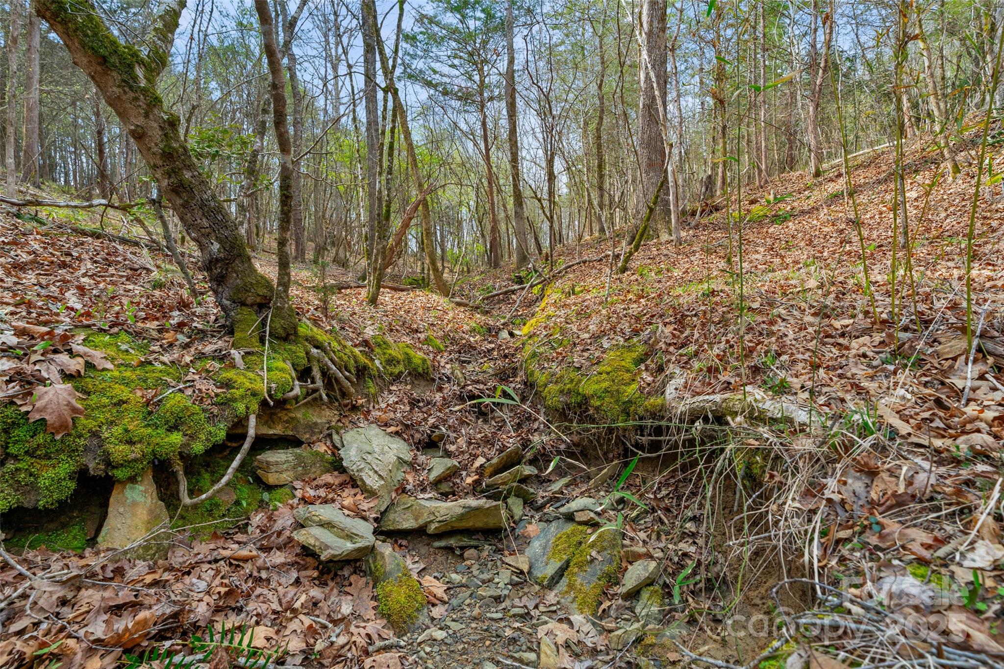 0000 Green Road 3 Property Photo 16