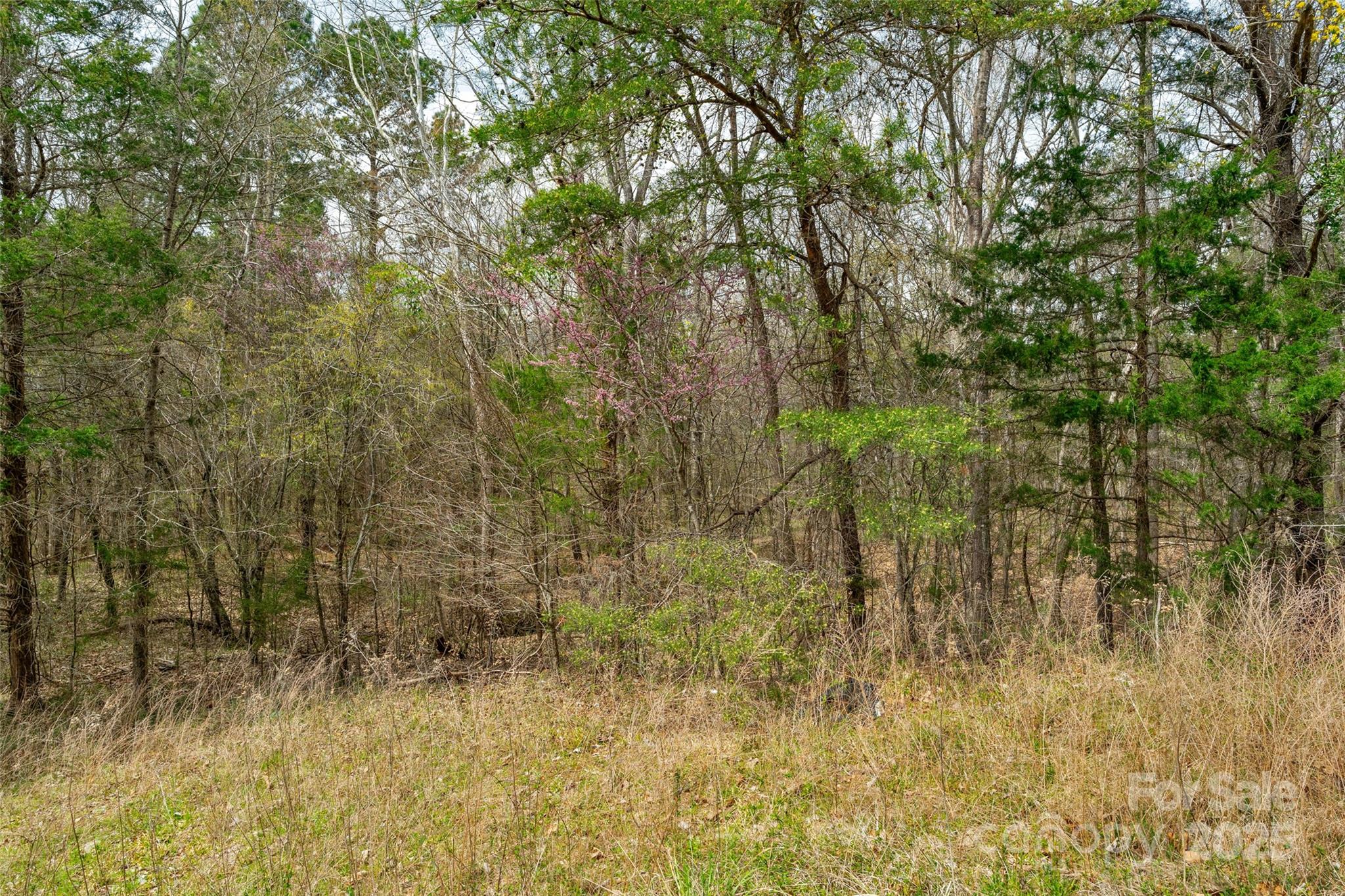 0000 Green Road 3 Property Photo 17