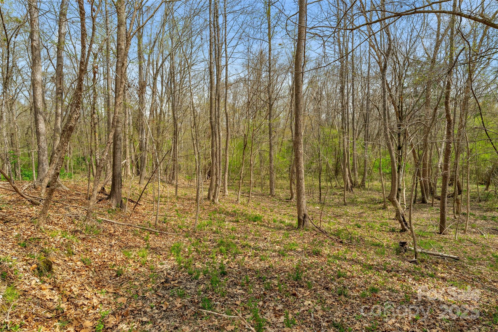 0000 Green Road 3 Property Photo 18