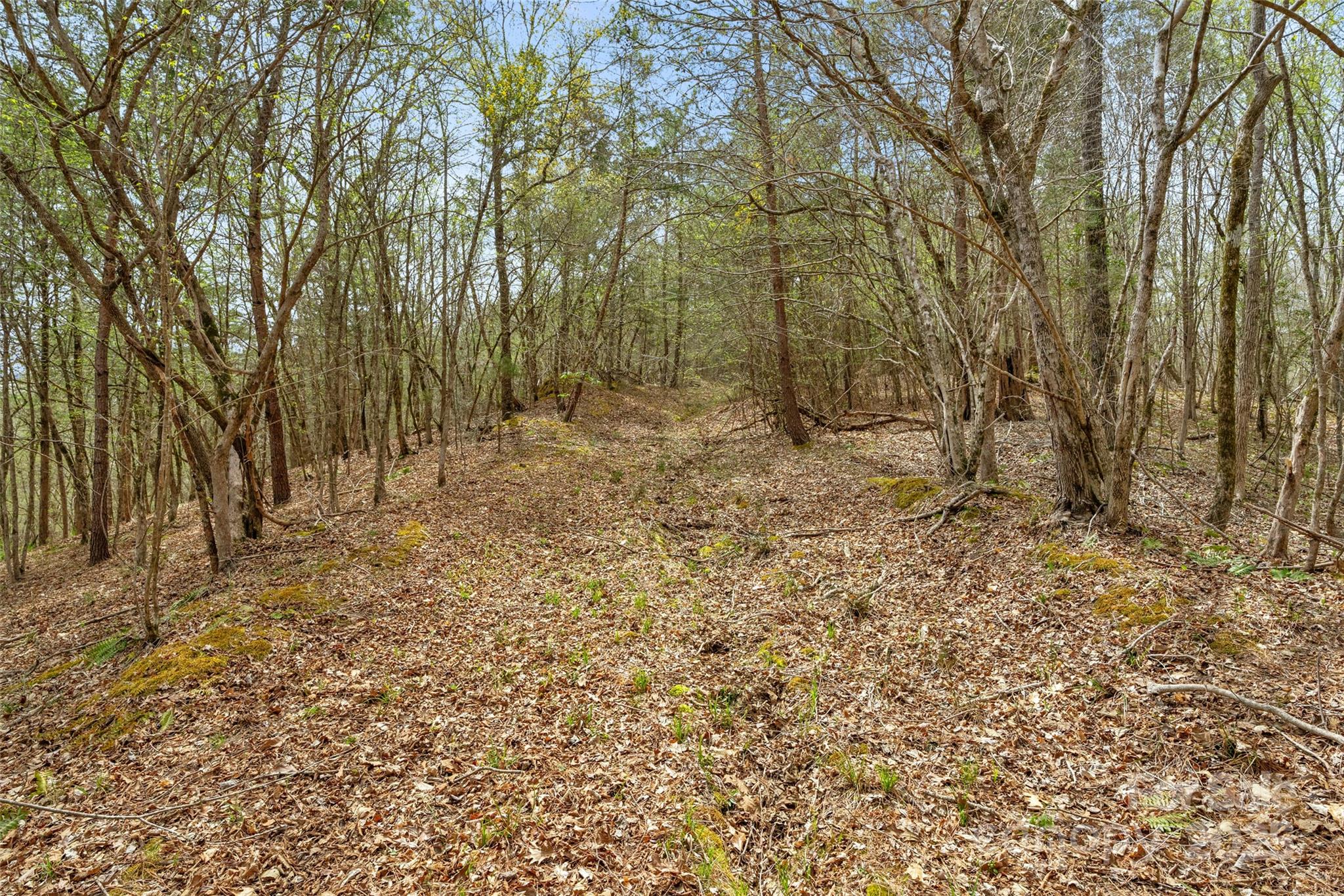 0000 Green Road 3 Property Photo 19