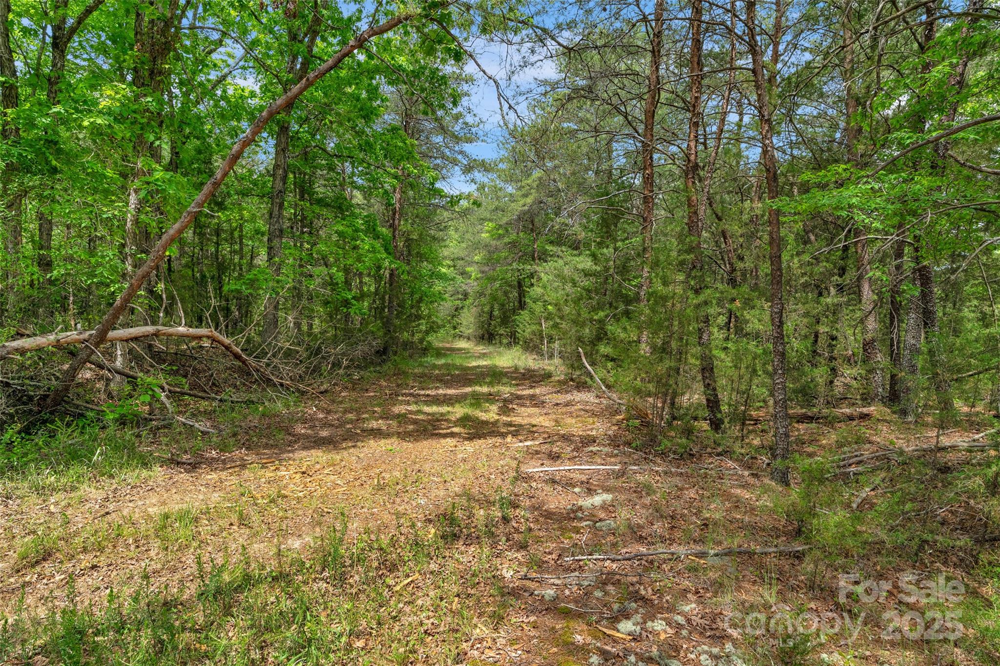 0000 Green Road Property Photo 6