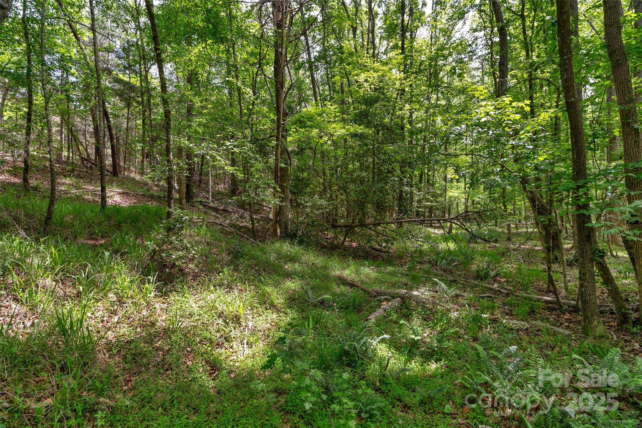 0000 Green Road Property Photo 11