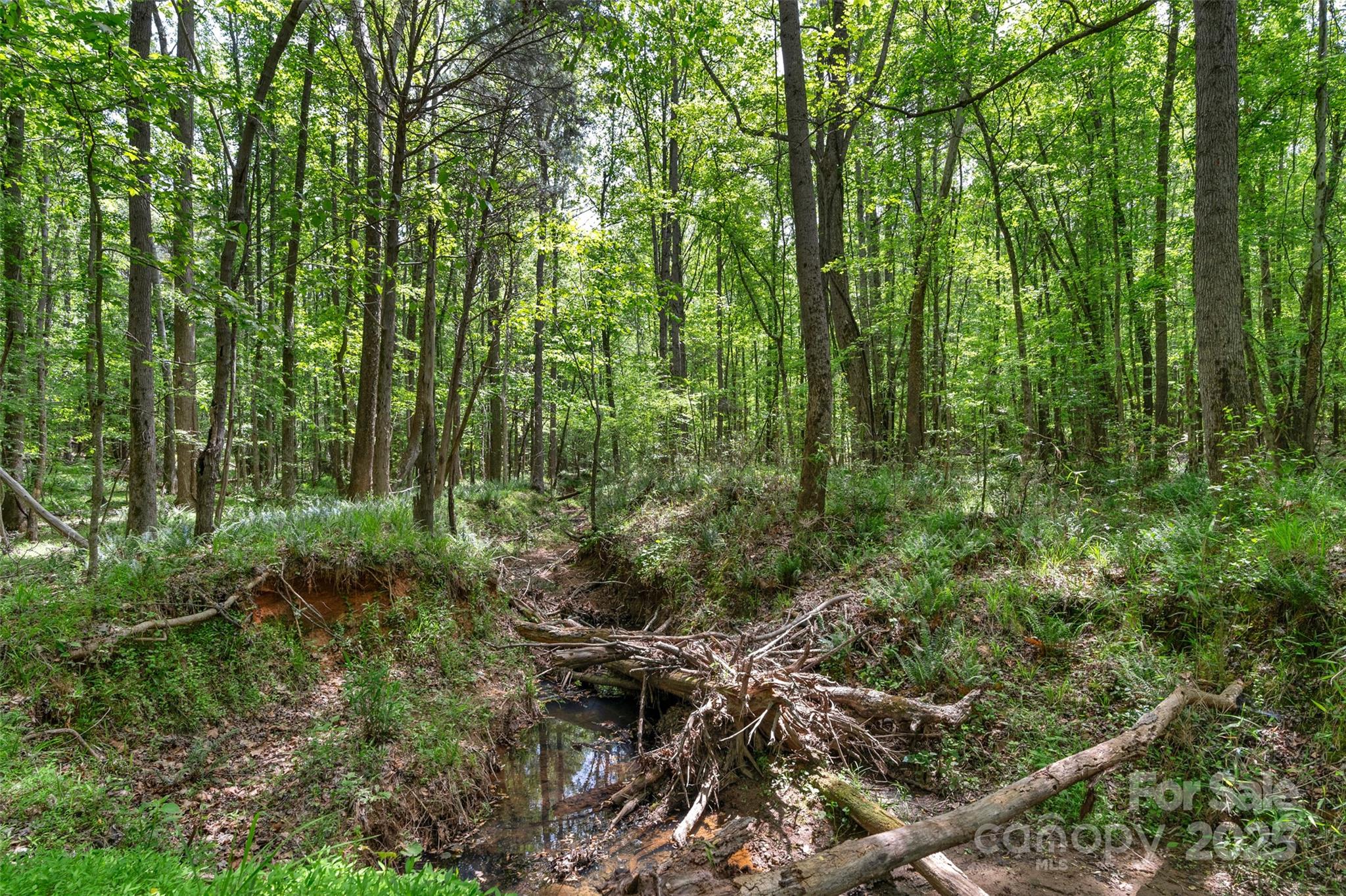 0000 Green Road Property Photo 15