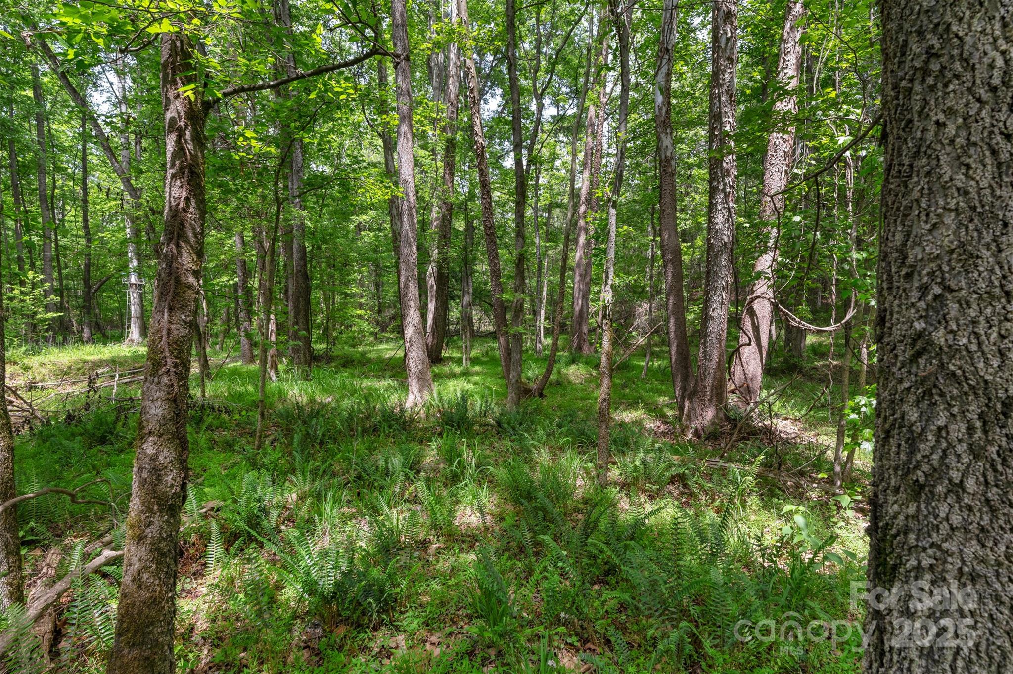 0000 Green Road Property Photo 16