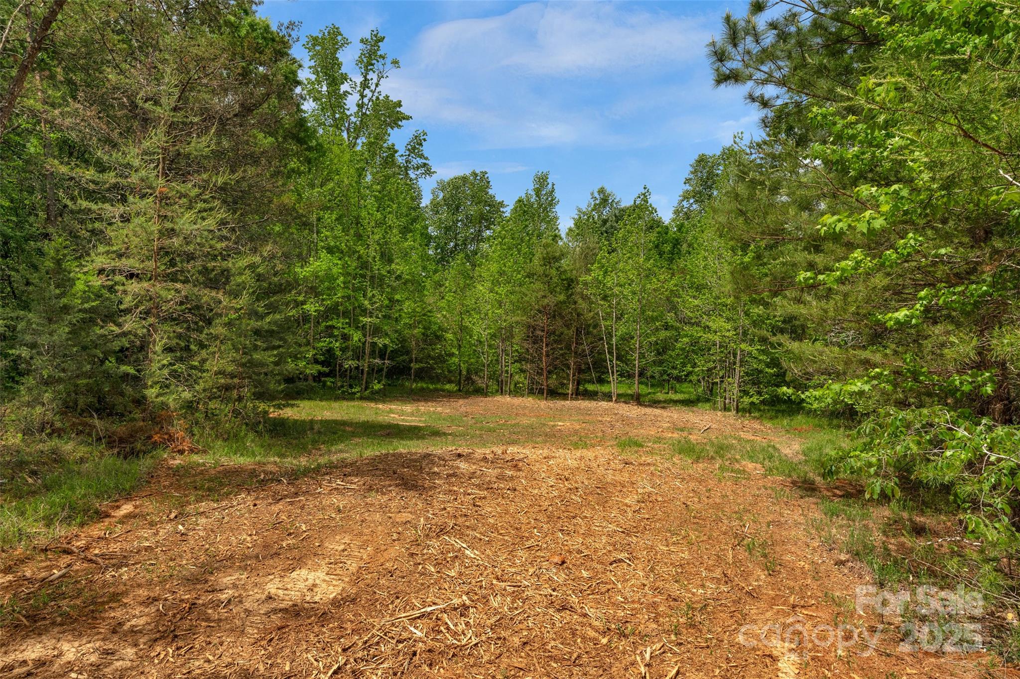 0000 Green Road Property Photo 17