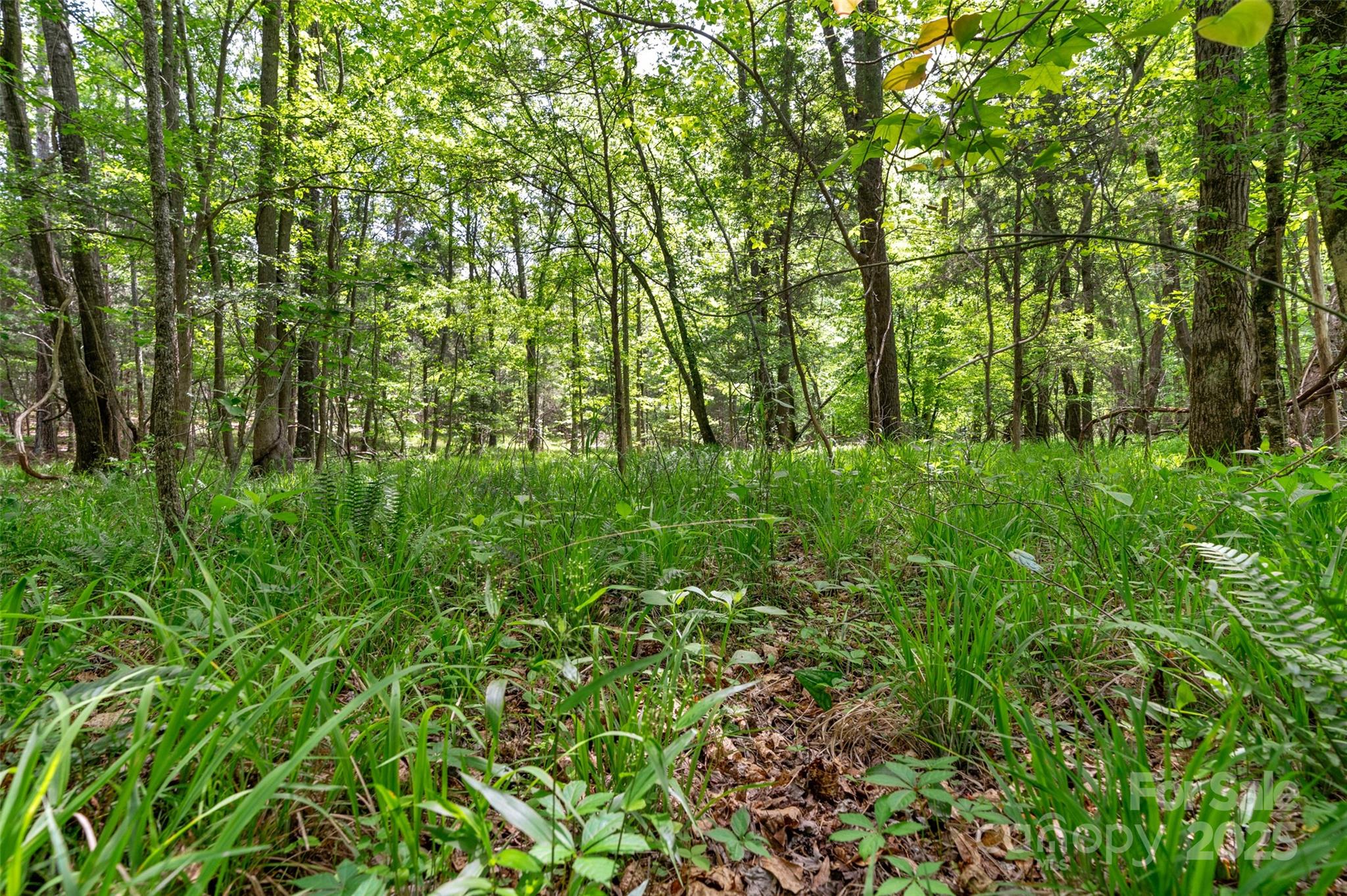 0000 Green Road Property Photo 19