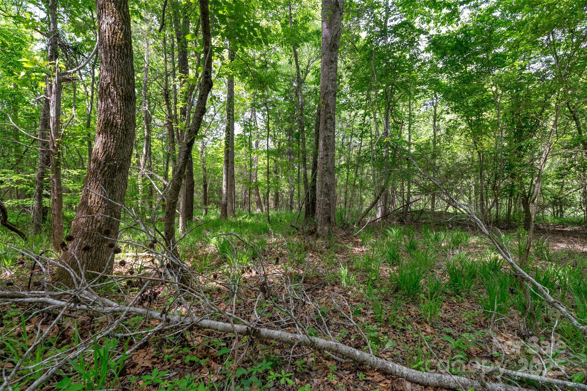 0000 Green Road Property Photo 20
