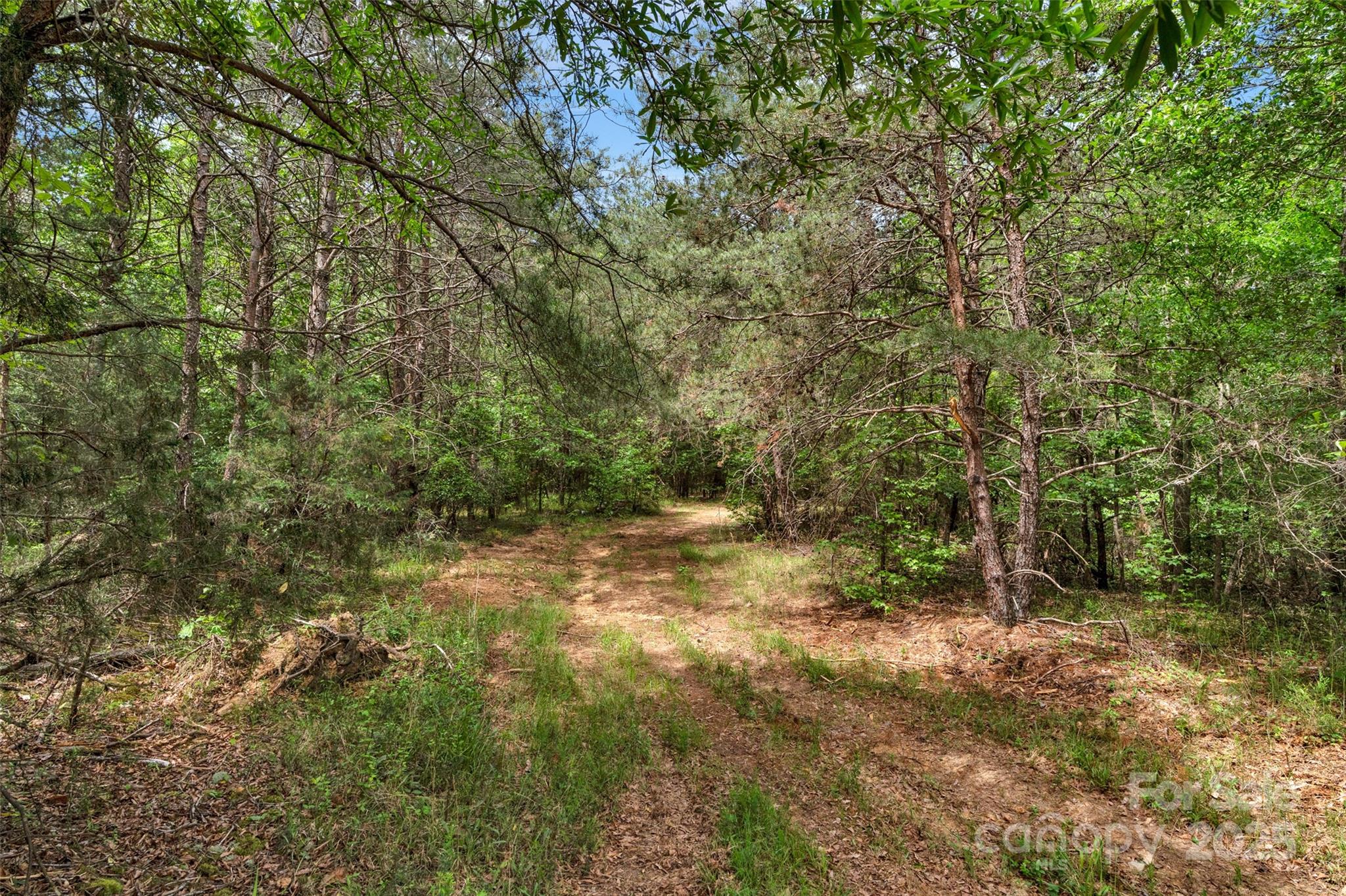 0000 Green Road Property Photo 21