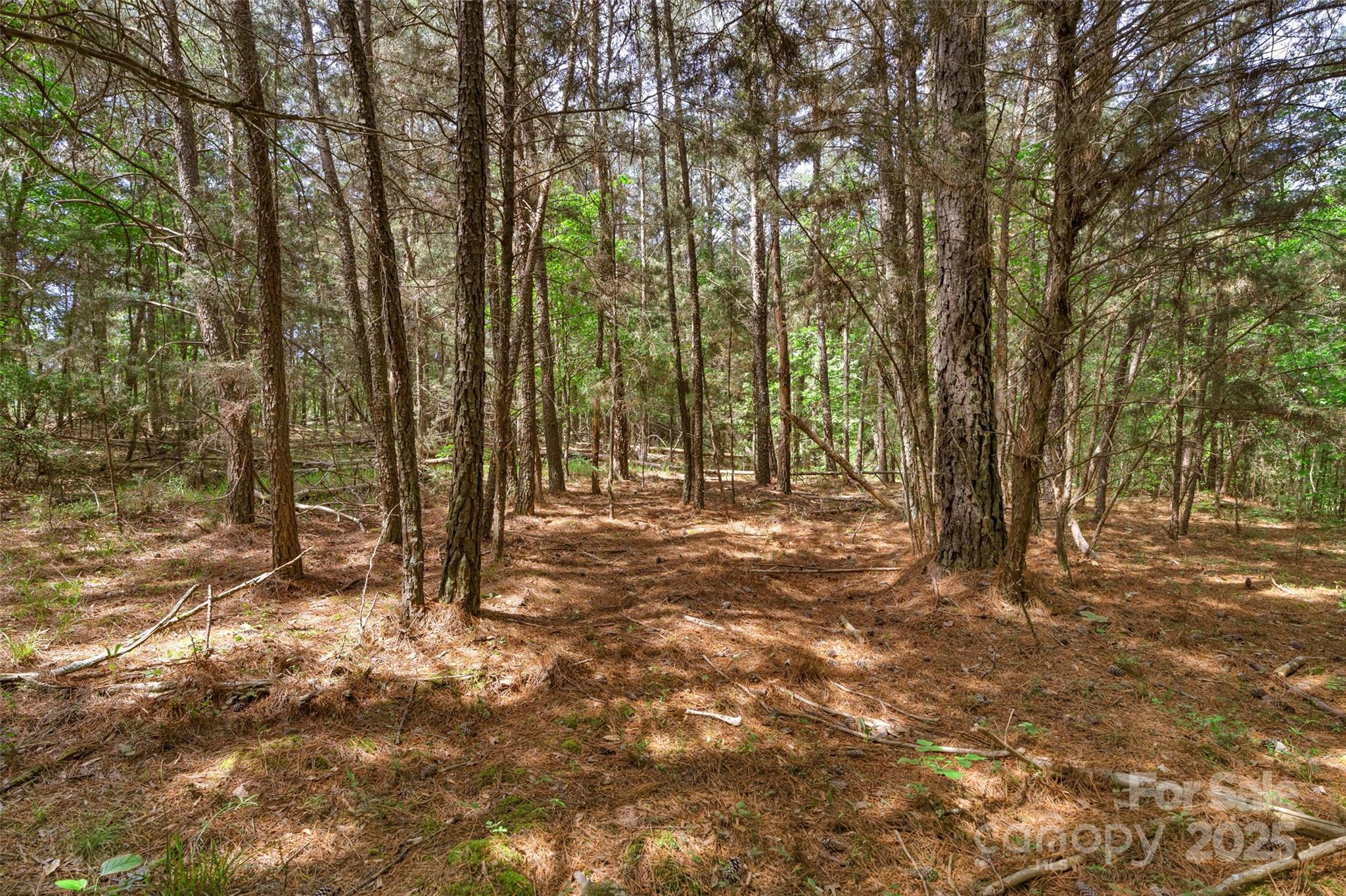 0000 Green Road Property Photo 30