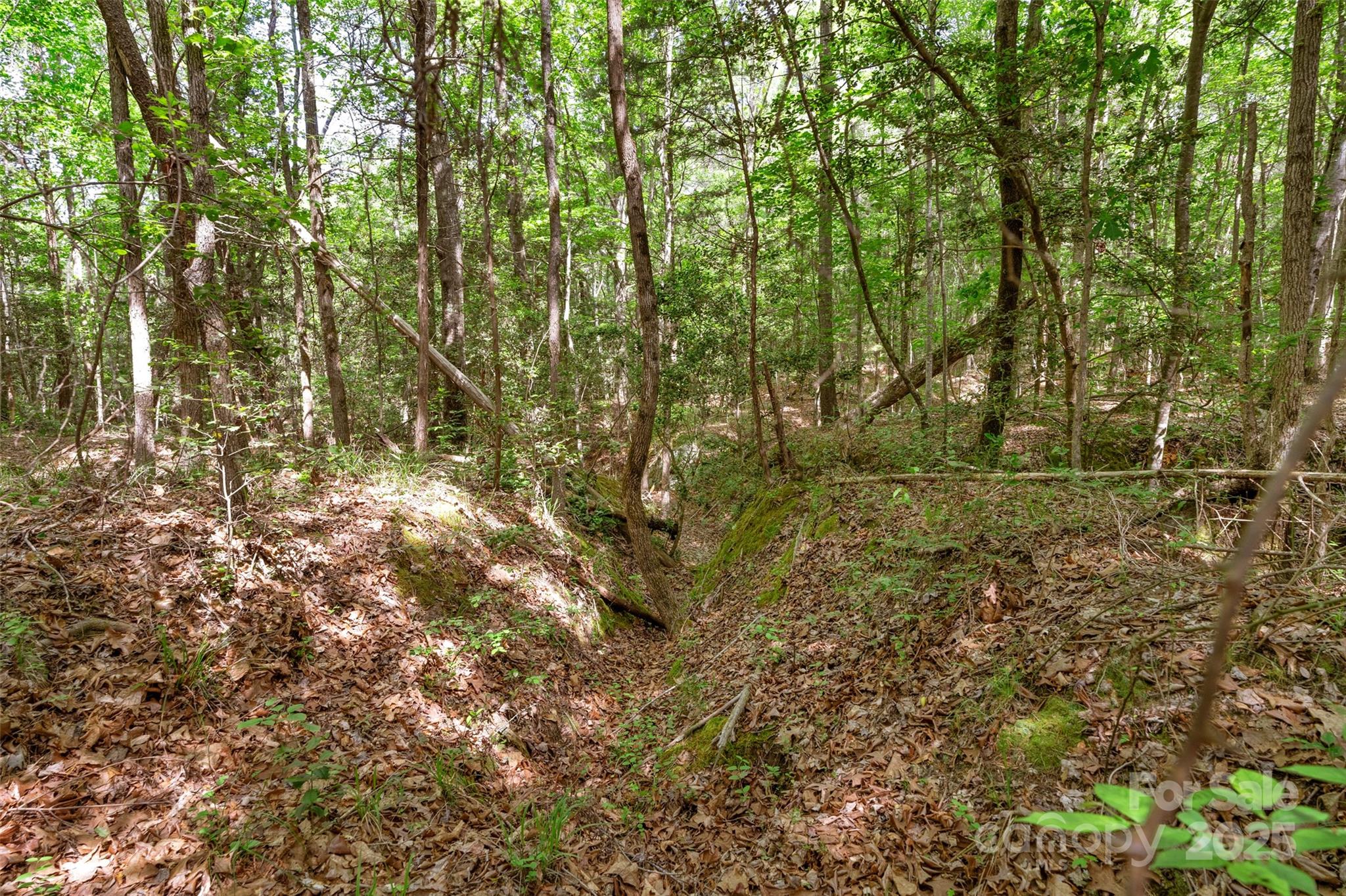 0000 Green Road Property Photo 31