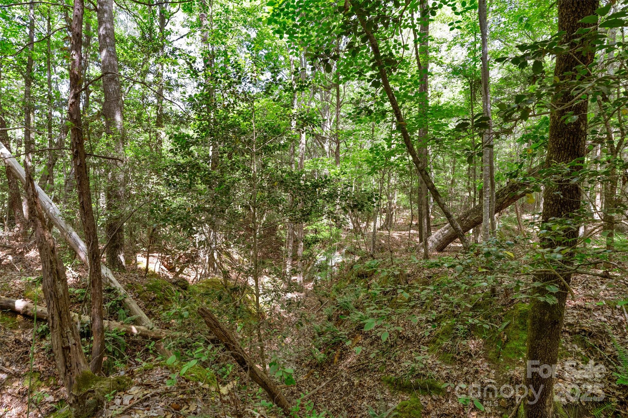 0000 Green Road Property Photo 32