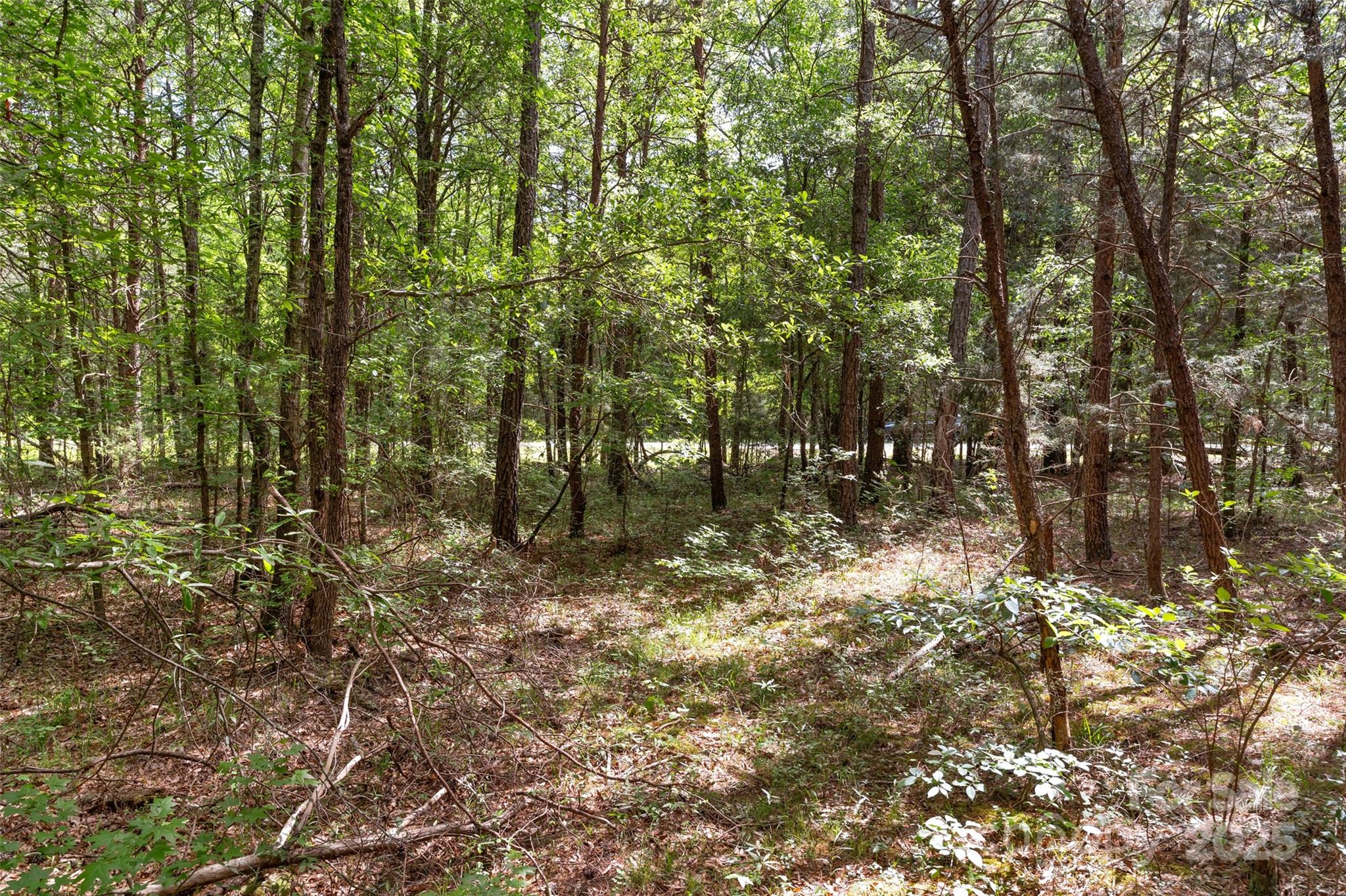 0000 Green Road Property Photo 36