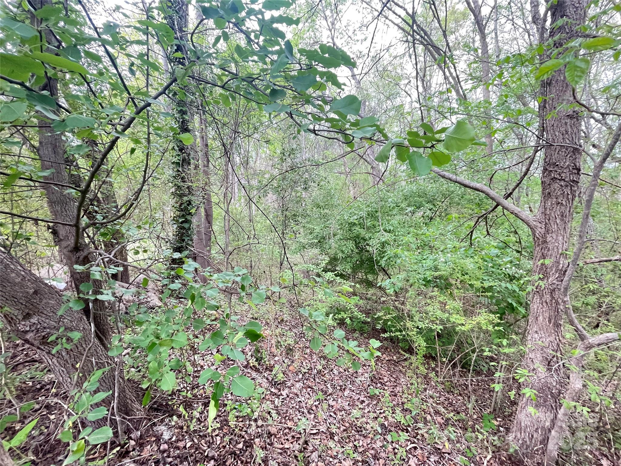 00 Moss Court Property Photo 2