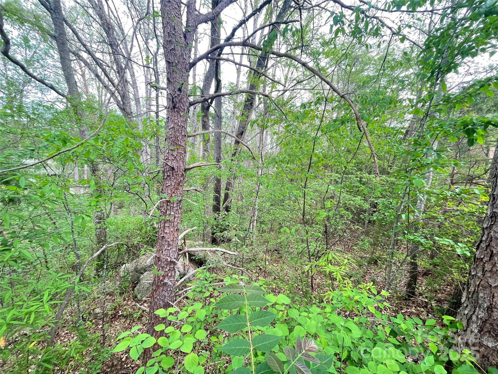 00 Moss Court Property Photo 2