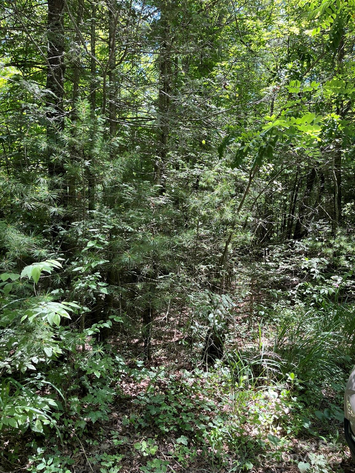 00 Pleasant Grove Church Road Property Photo