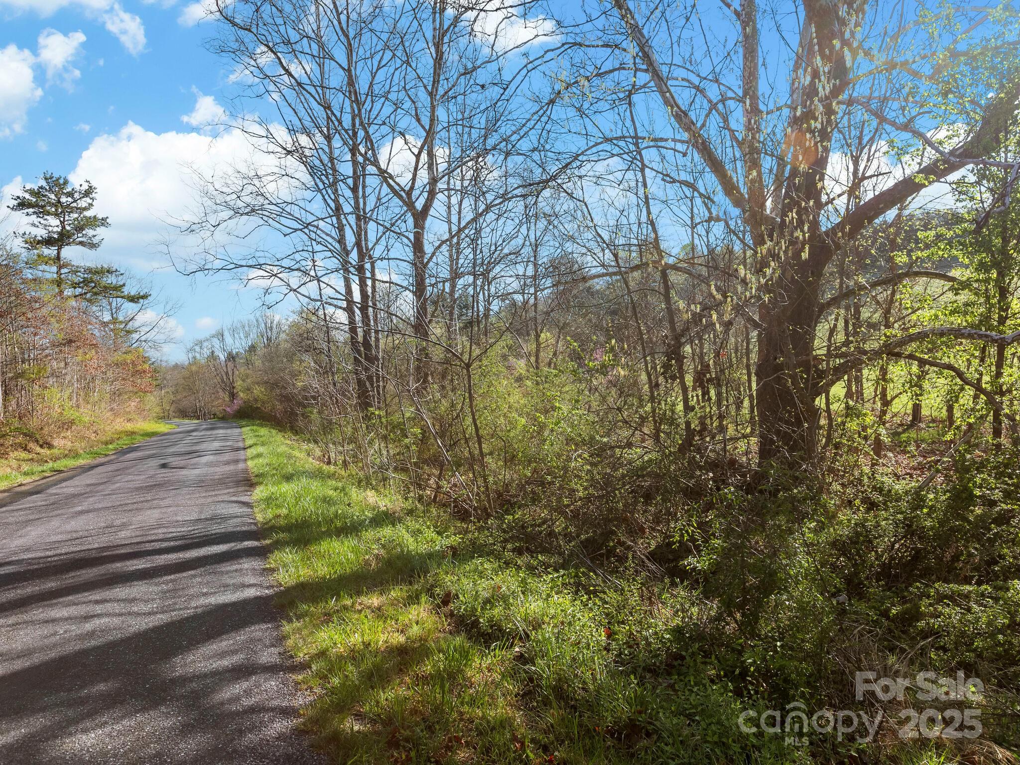 99999 Sprouse Town Road Property Photo 5