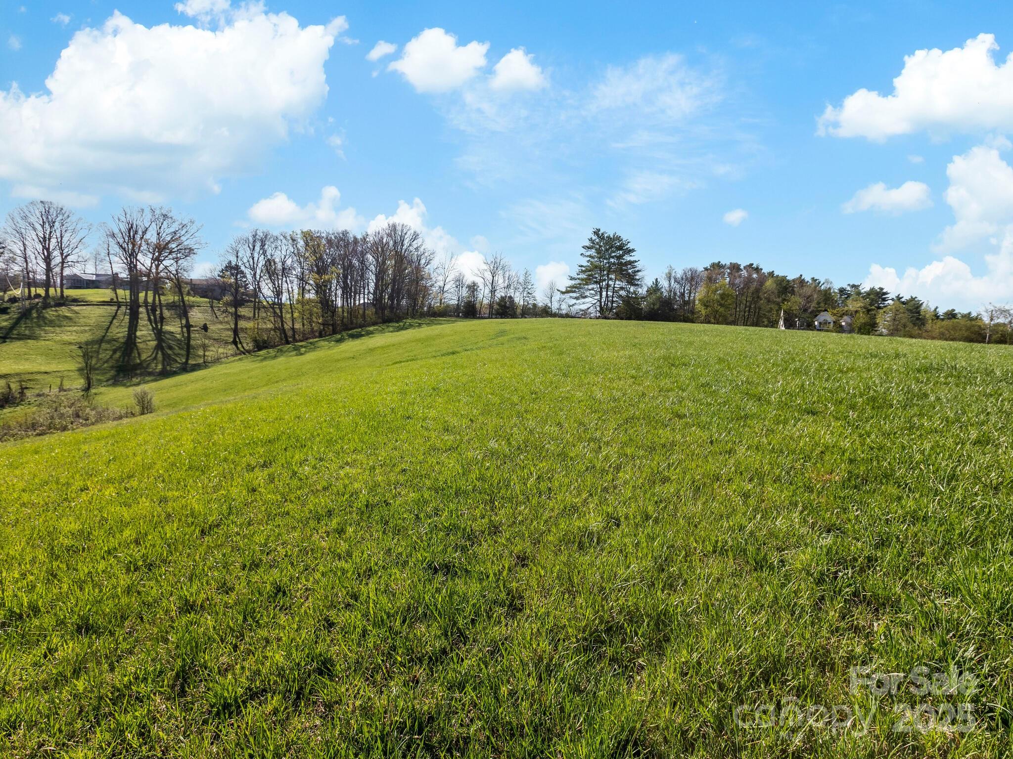 99999 Sprouse Town Road Property Photo 18